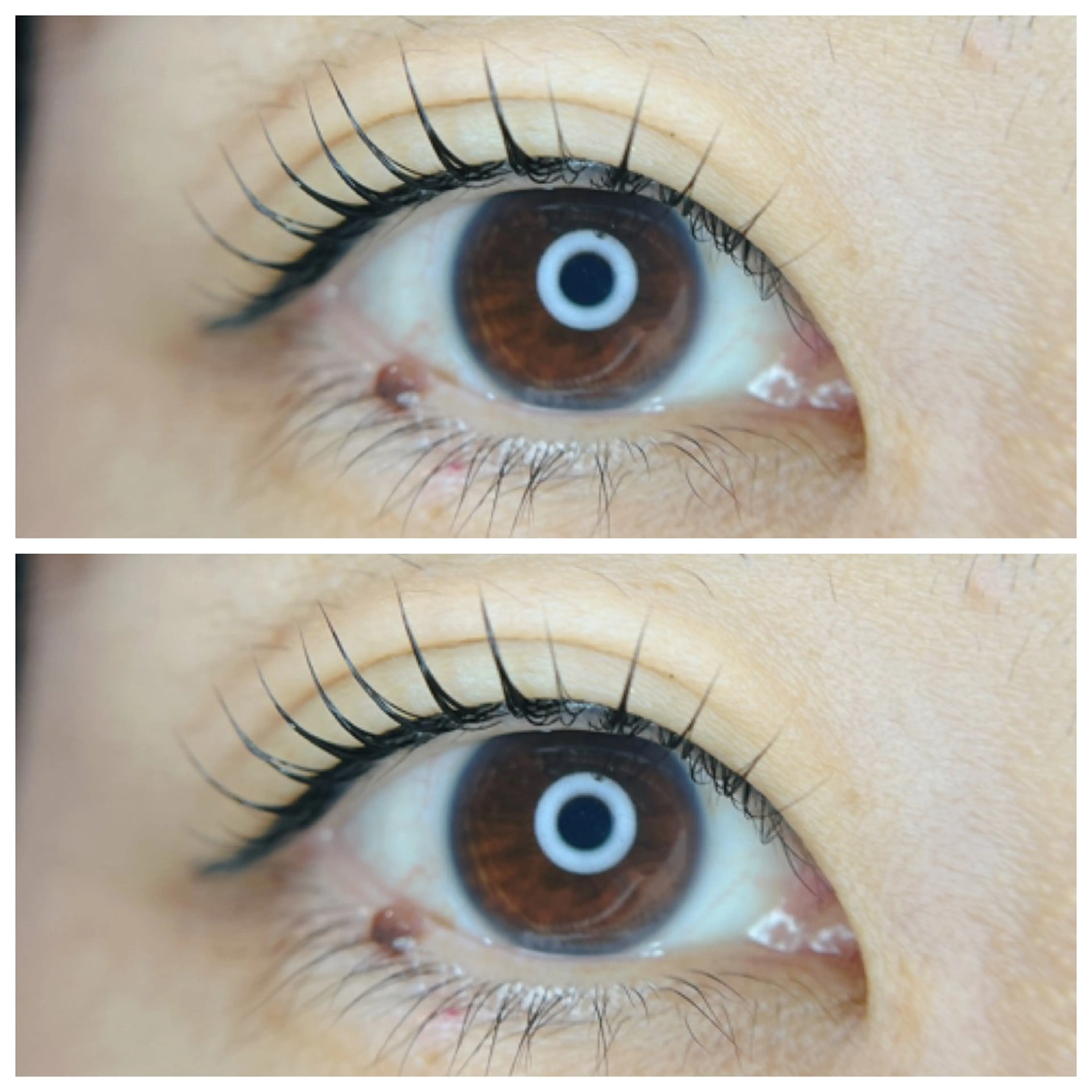 マツエク・マツパ 一重×まつ毛パーマ 【hisui】長尾 ゆかりのマツエク・マツパデザイン