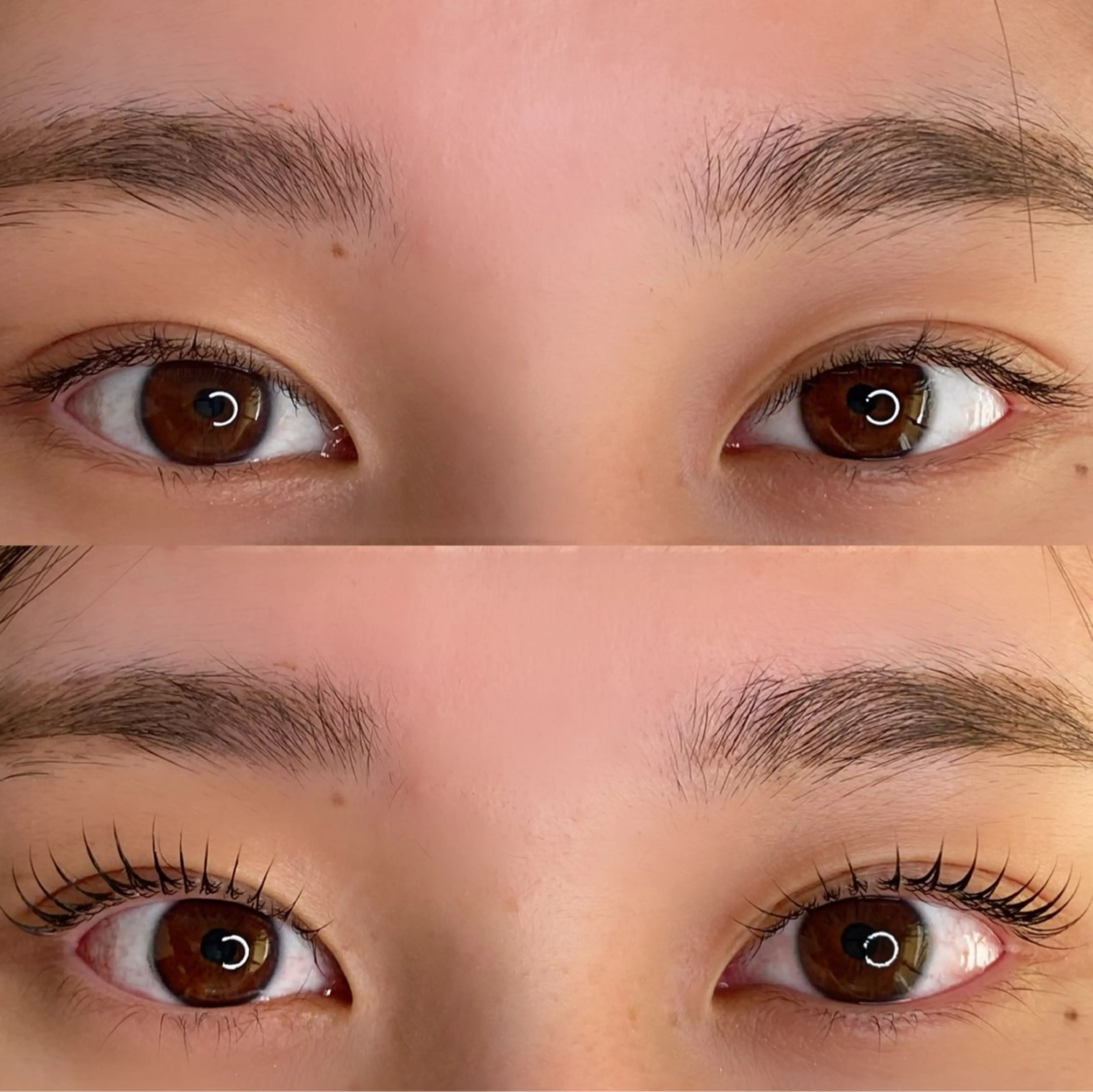 マツエク・マツパ マツパ SHIMIZU/ マツエク・マツパのマツエク・マツパデザイン