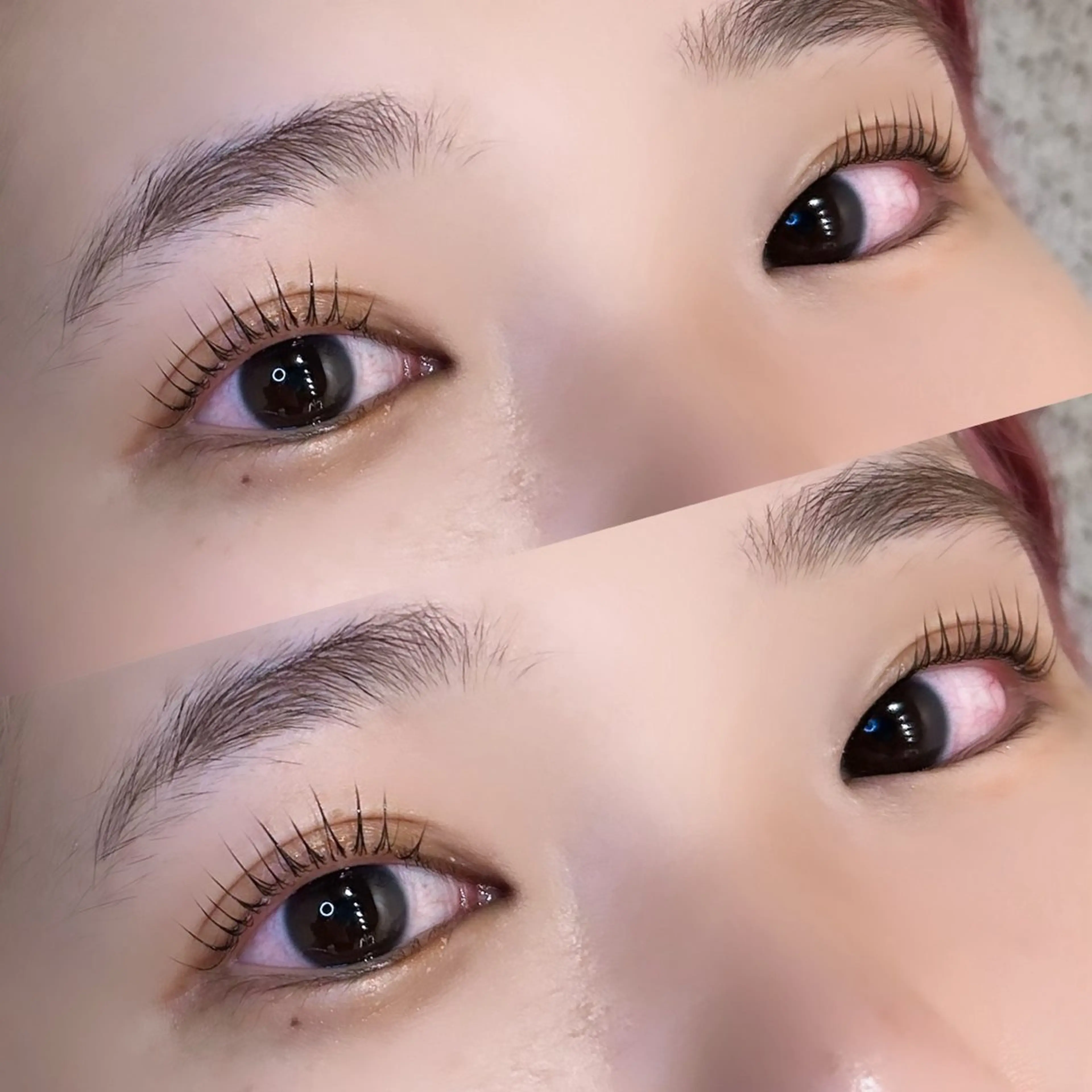 土日限定♥️パリジェンヌorまつげパーマ￥6600➡️￥5500の写真