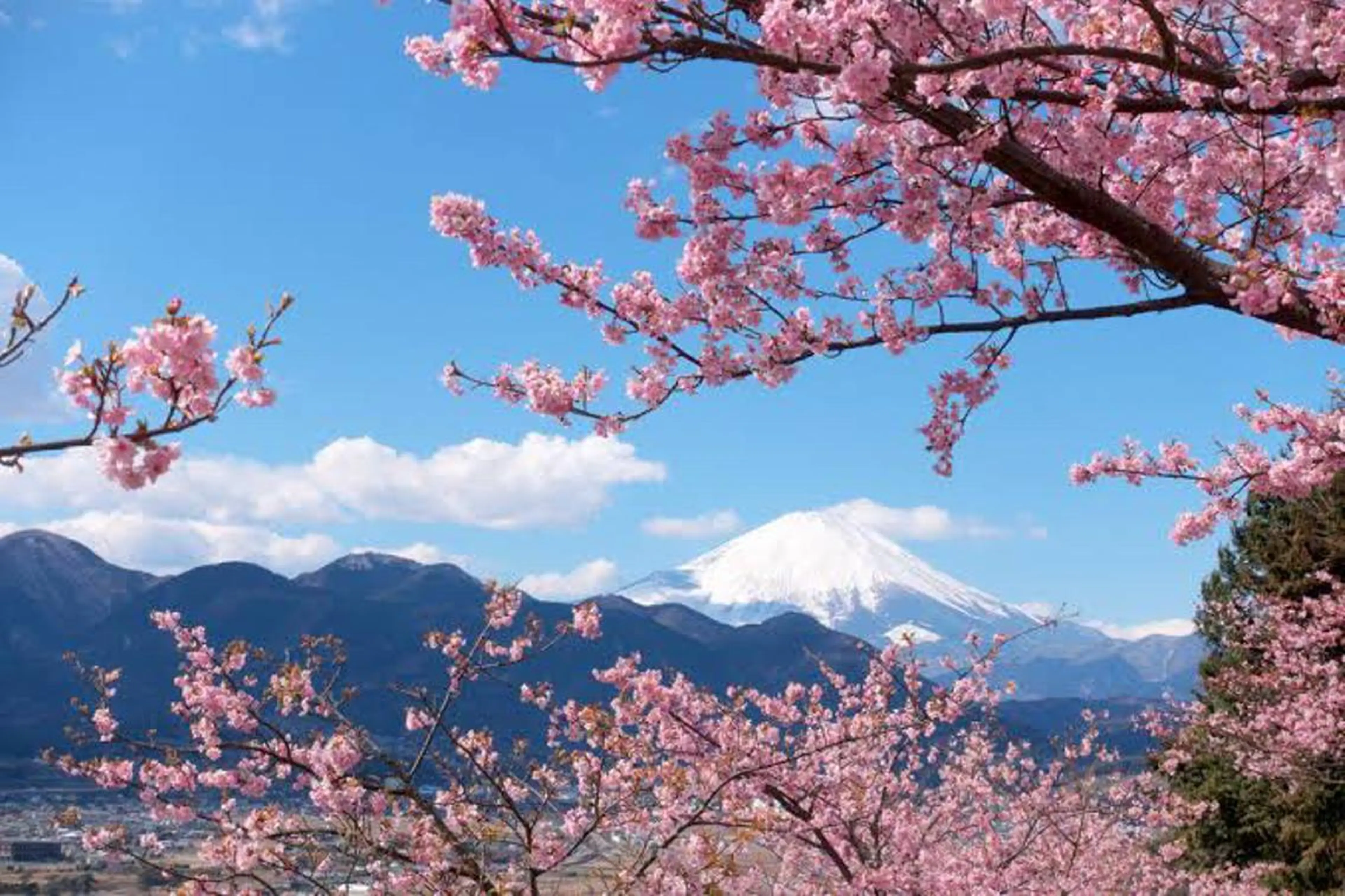 ⭐️💛骨格を診断 髪質改善◎RIKIのヘアスタイル