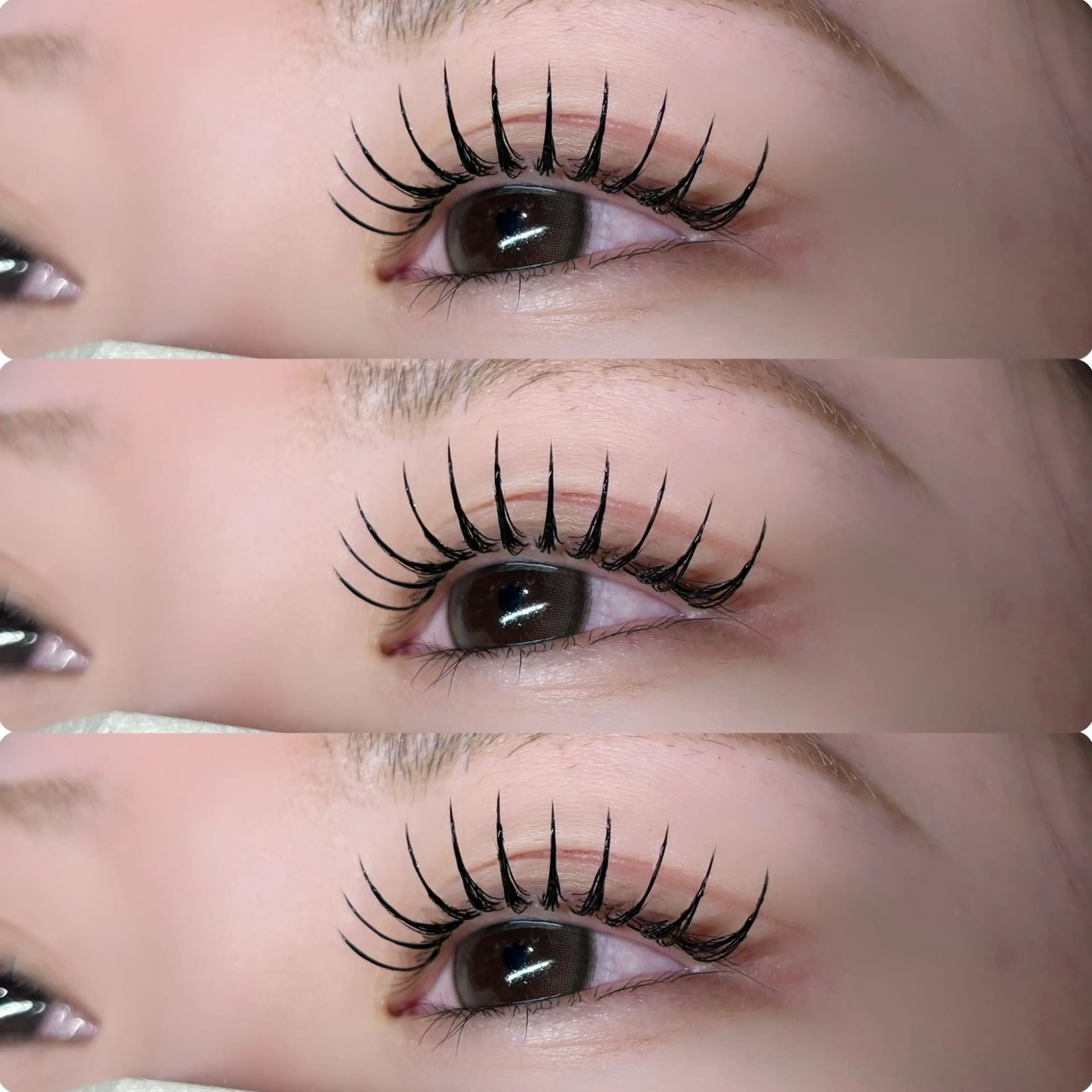 【限定クーポン】フラットラッシュ付け放題🧸の写真