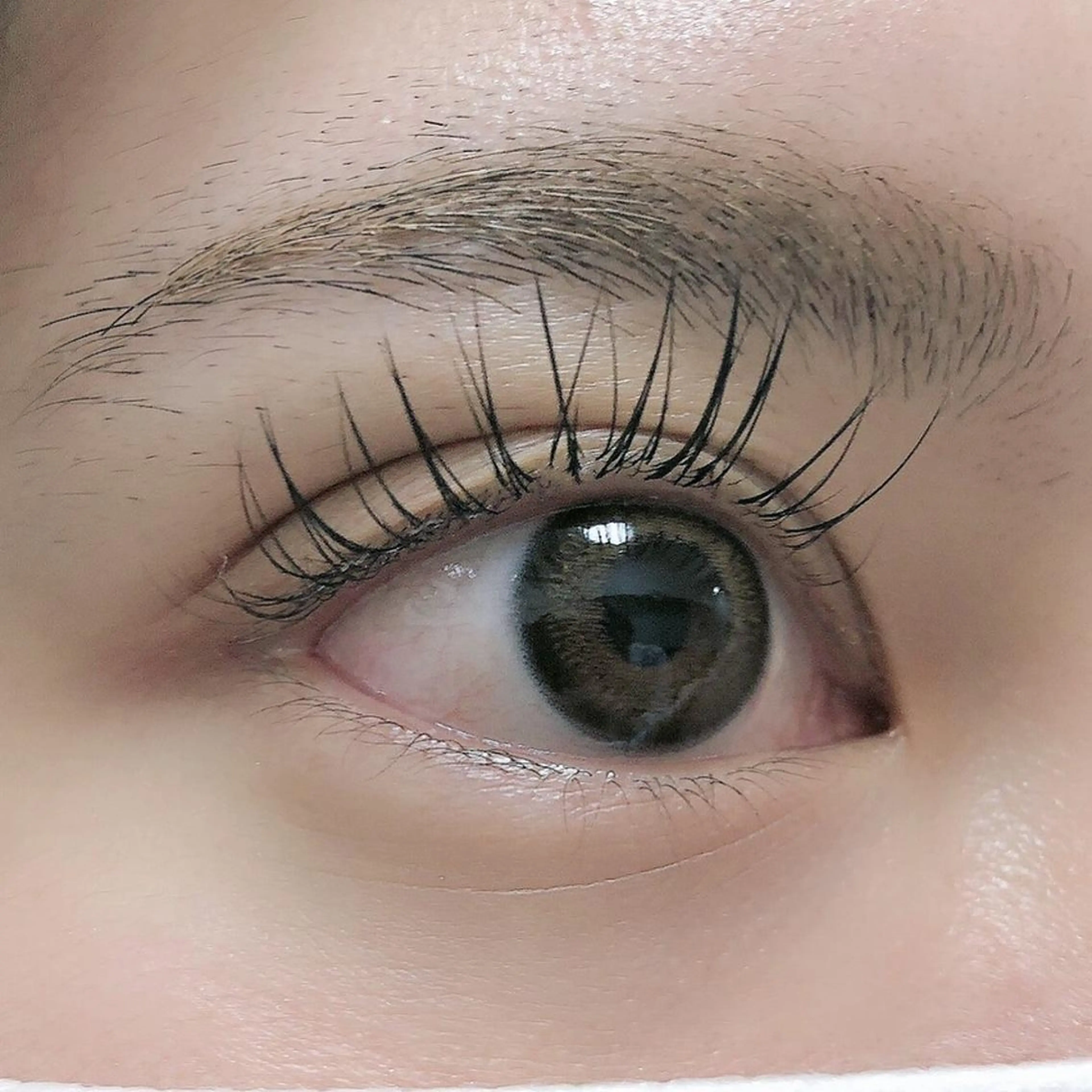 マツエク・マツパ ✧elpatio✧︎ 小出紗羅のマツエク・マツパデザイン