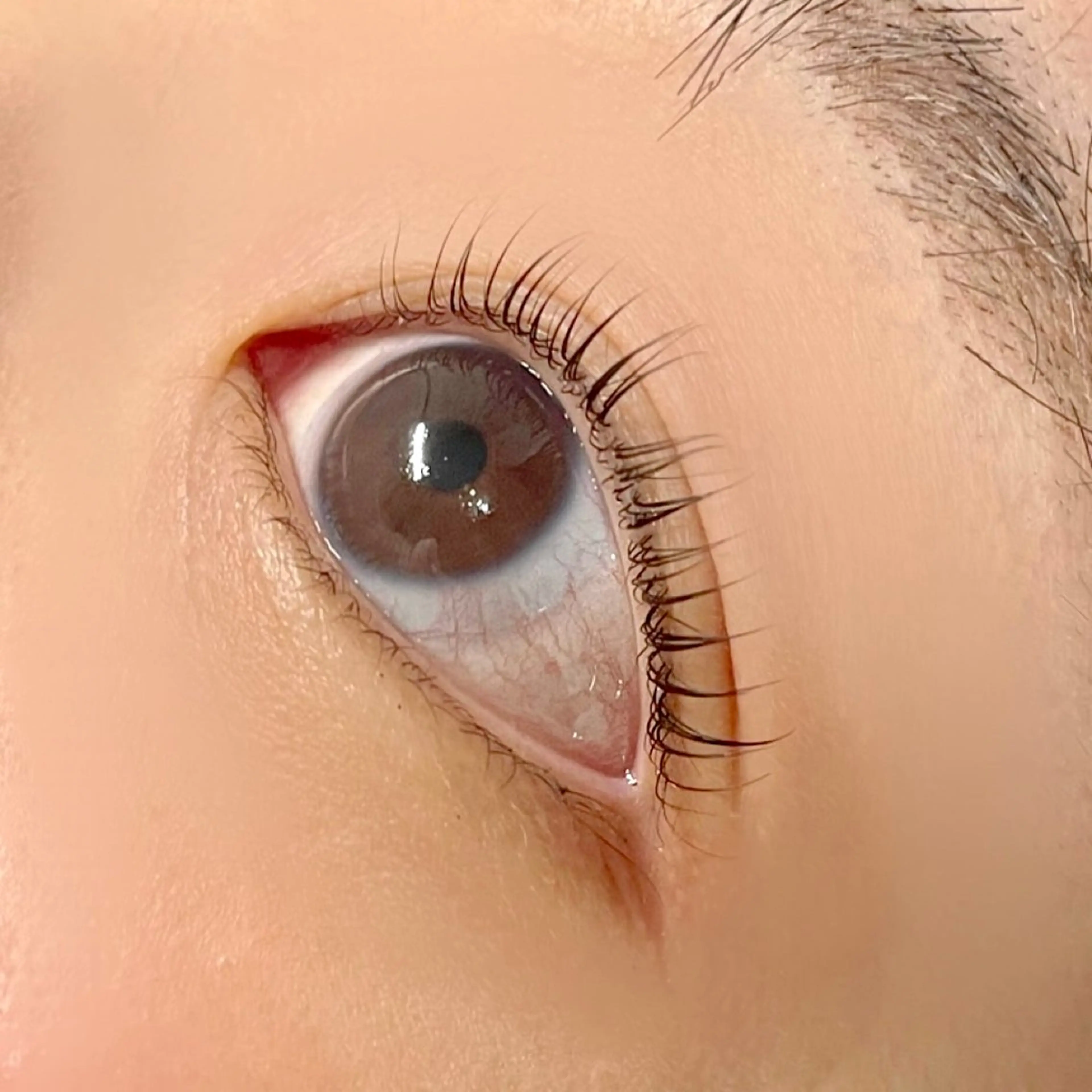 マツエク・マツパ ケラチンラッシュリフト EYEMAJIC Pure★高見の眉毛・アイブロウイメージ