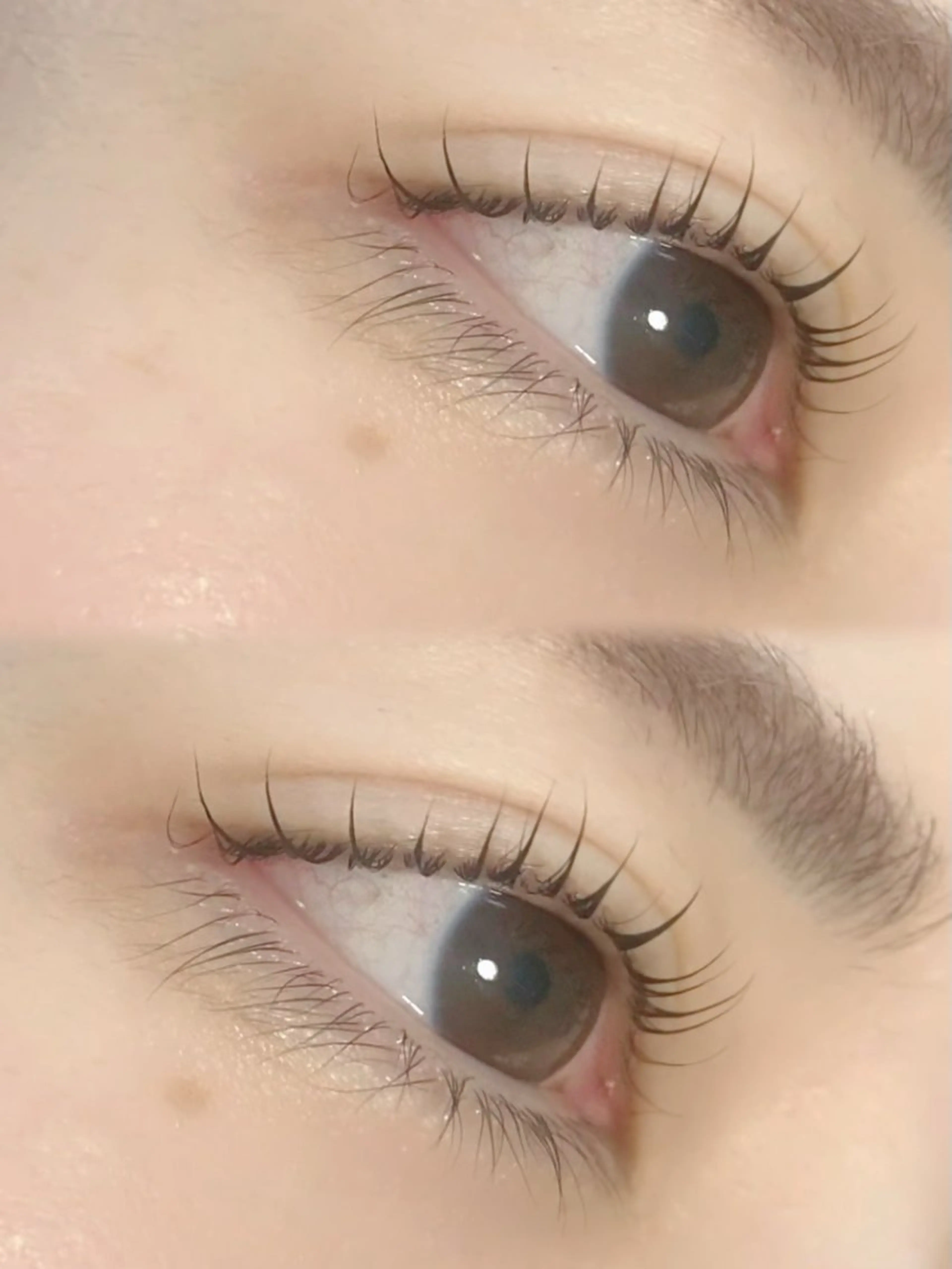 【根本から立ち上げ自まつ毛長く魅せる】パリジェンヌラッシュリフト¥5500 アイシャンプー・コーティング付◎の写真