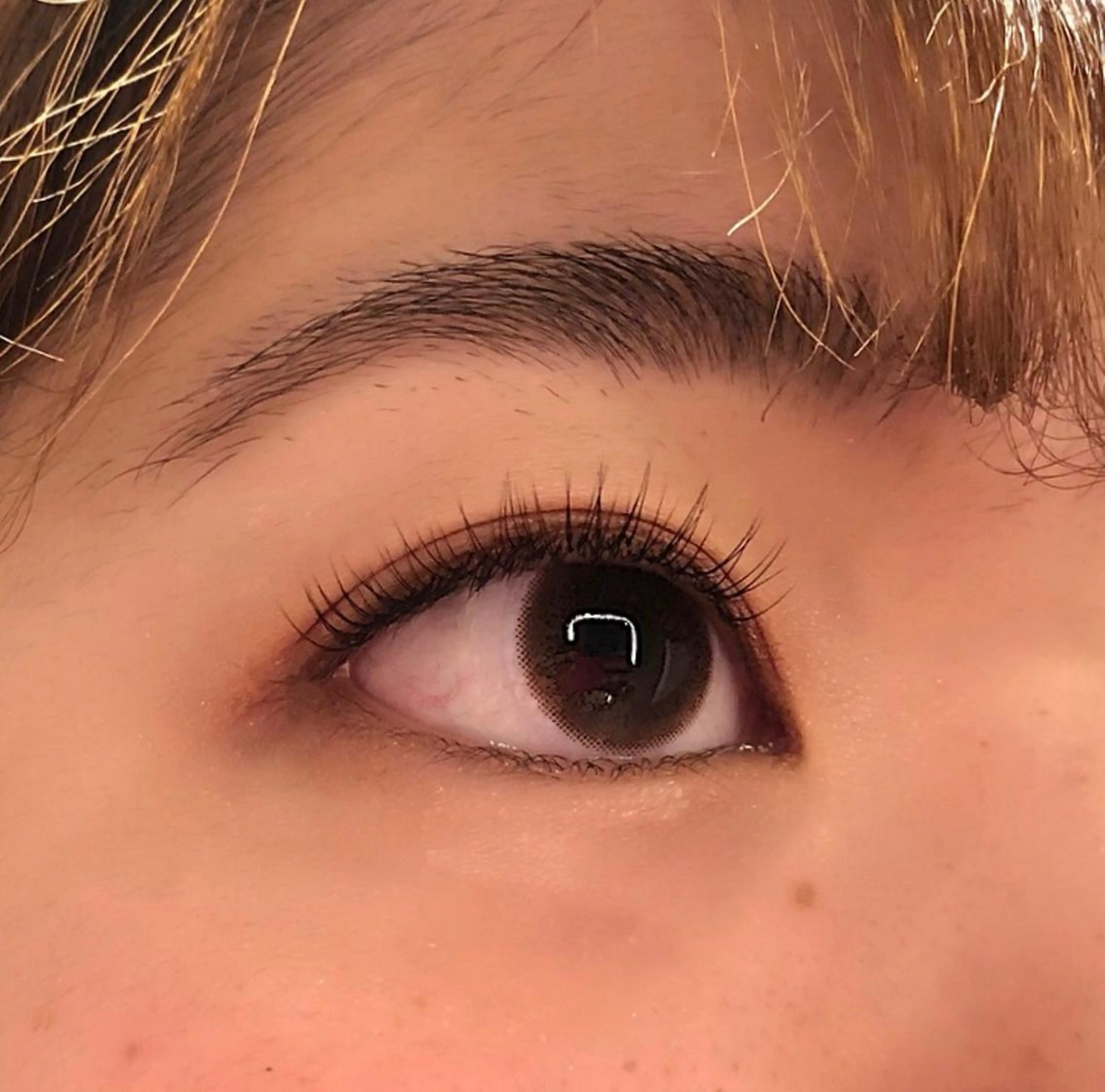 マツエク・マツパ キュート セーブル H eyelash MIYUのマツエク・マツパデザイン