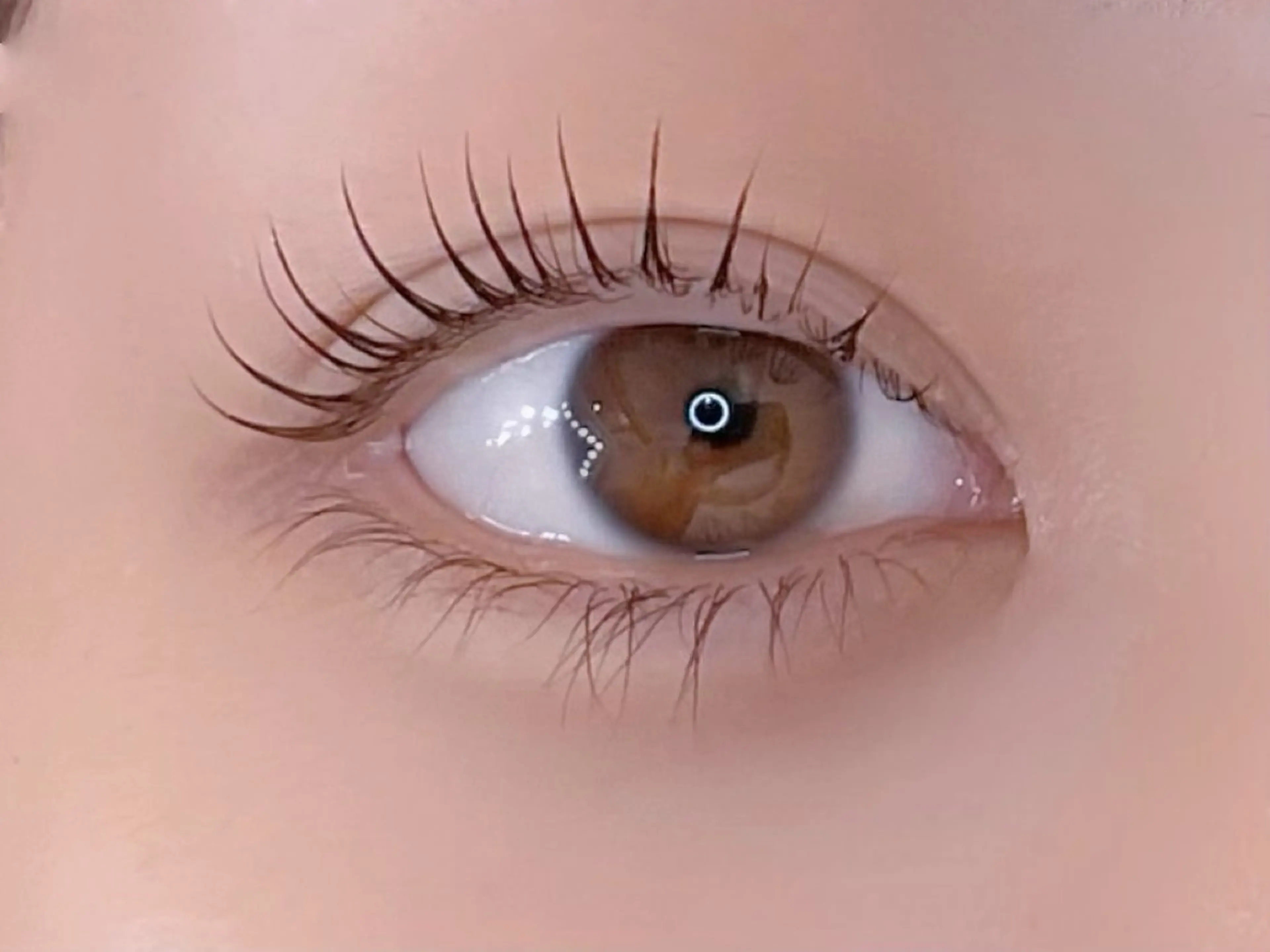 マツエク・マツパ マツパ H. Yurinaの眉毛・アイブロウイメージ