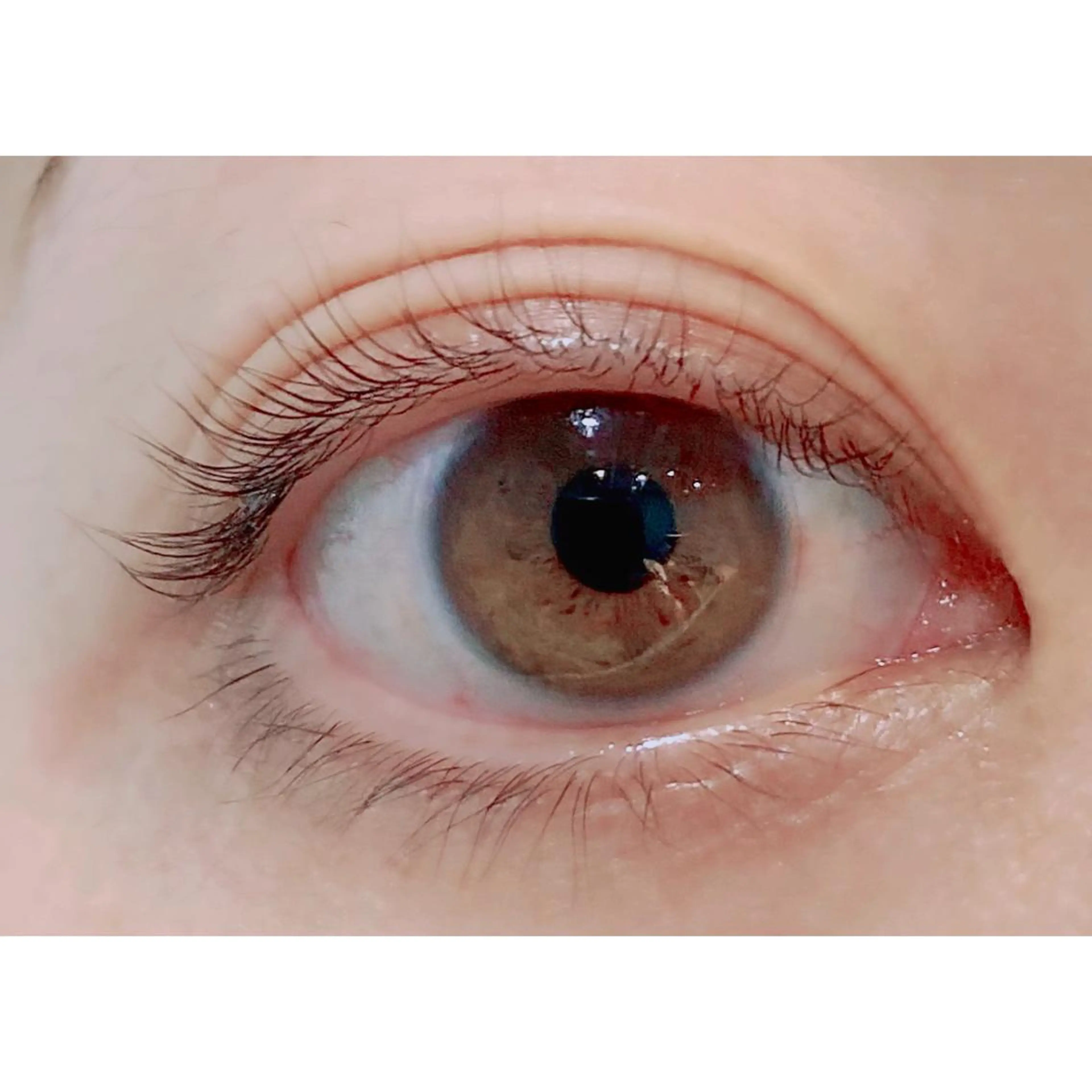 マツエク・マツパ パリジェンヌラッシュリフト Bianca 長津田店　長牛の眉毛・アイブロウイメージ