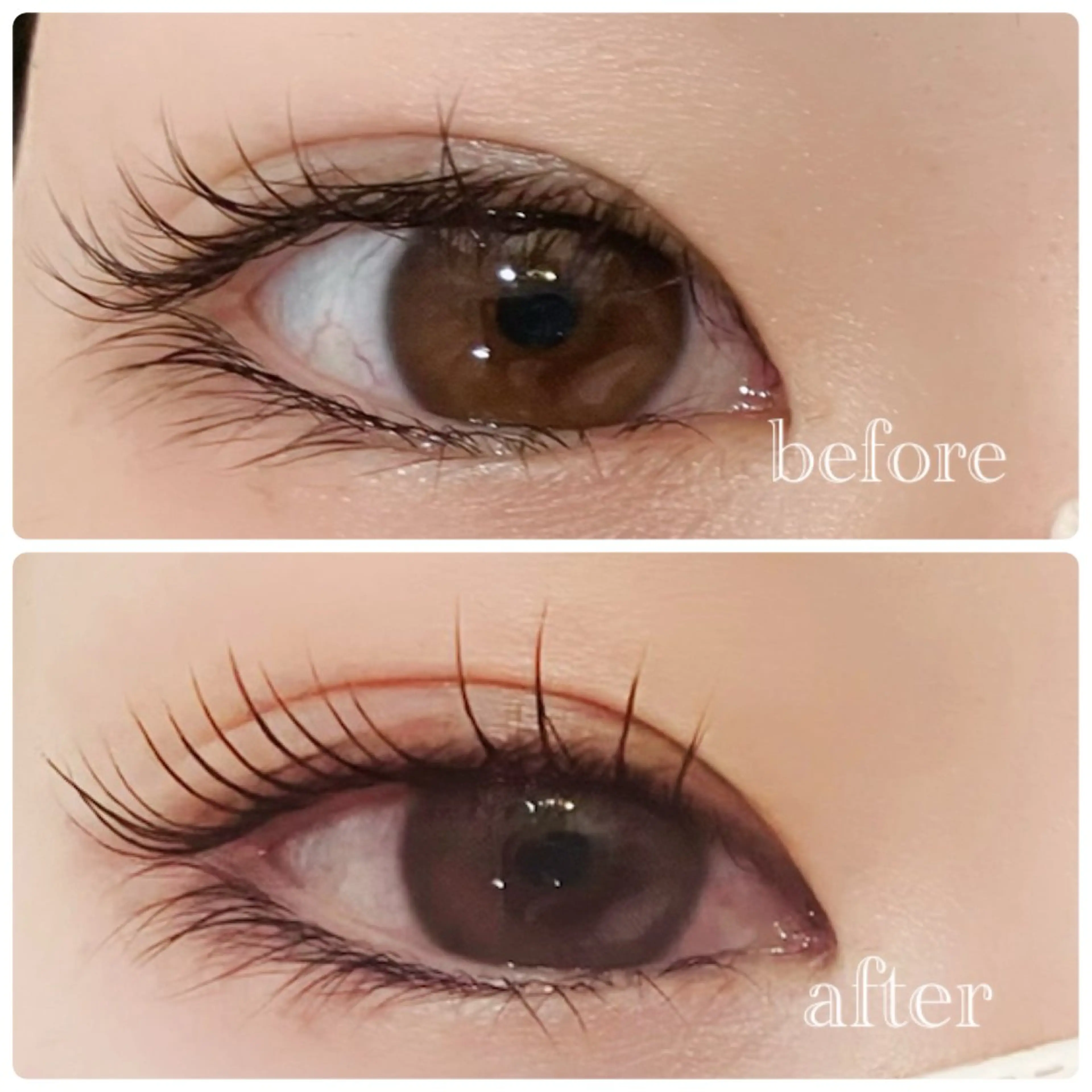 マツエク・マツパ マツパ 🌷LOARK eyelash.梶川のマツエク・マツパデザイン