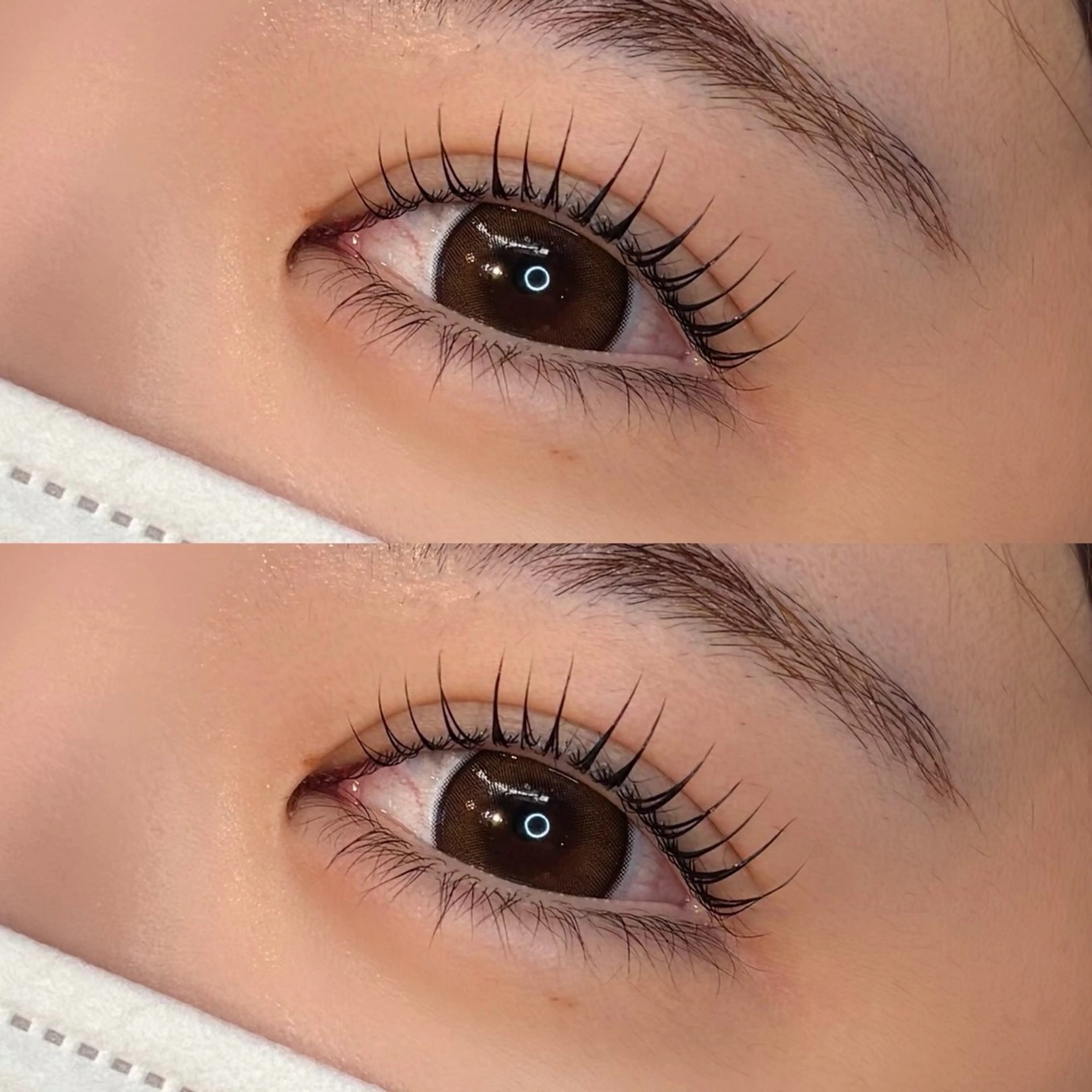 【4/22.24限定✨️】似合わせ♡まつ毛パーマ🪄(トリートメント+コーティング束感仕上げ付)の写真