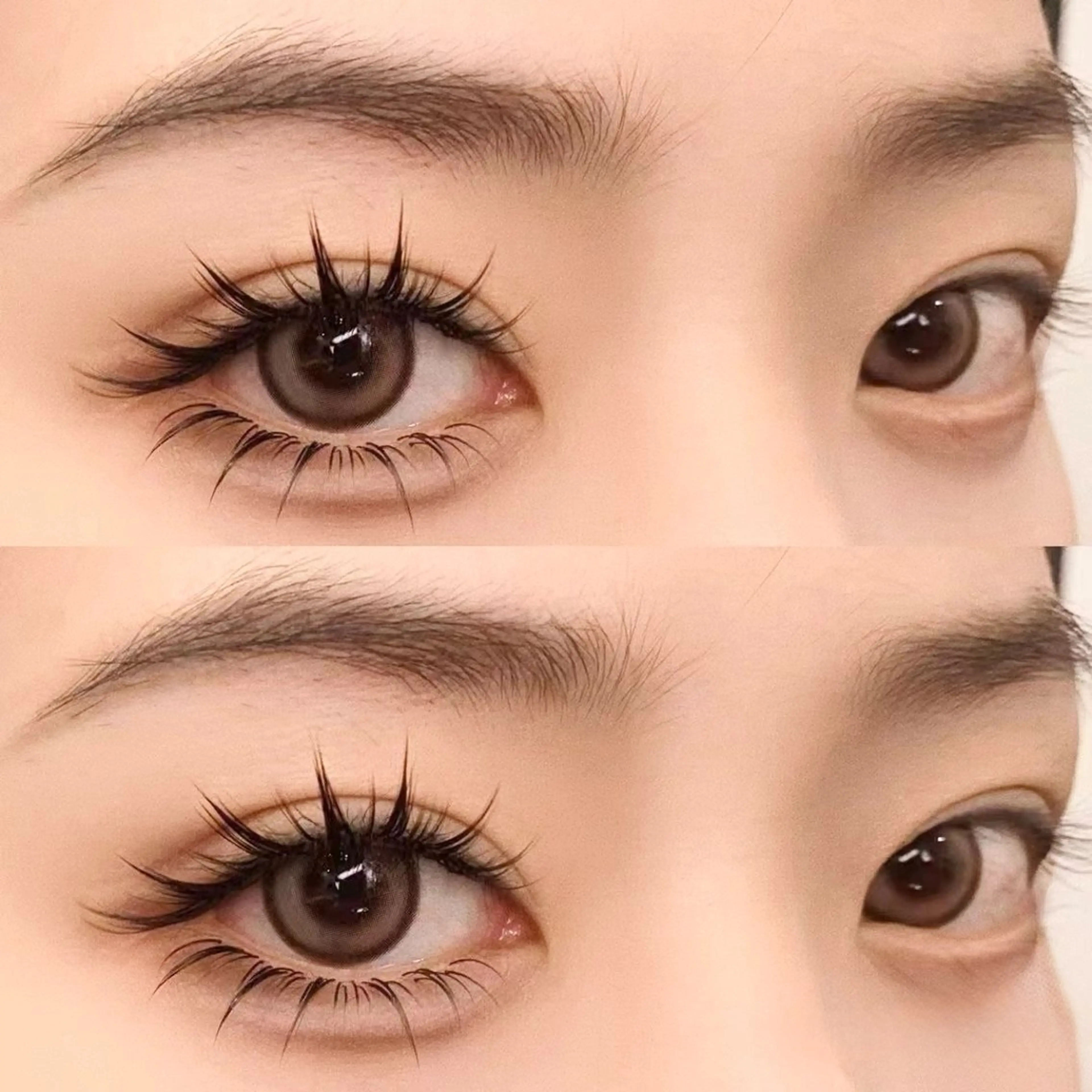 ★大人気漫画ワンホン 束感ボリュームラッシュ濃密800本上+下50本までセット【最新LED追加+0円】の写真