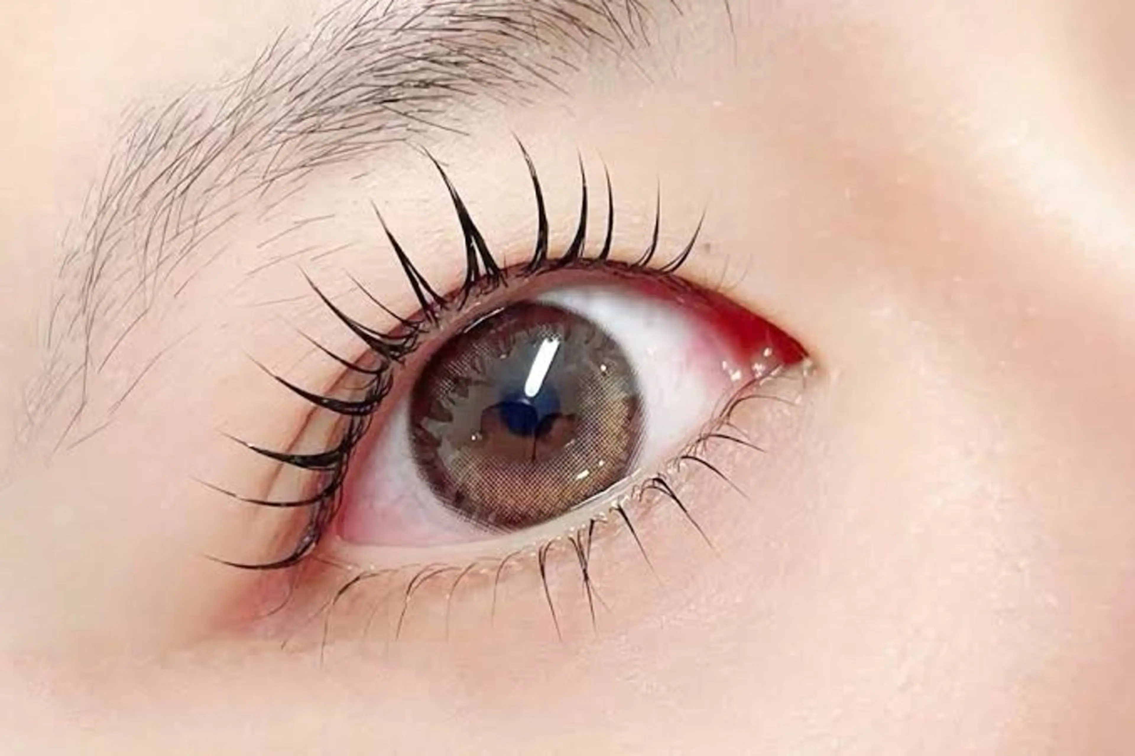 水島臨海鉄道 福井駅から徒歩10分🚶‍♀️まつ毛パーマ(上下セット)うる艶コーティング仕上げ付き✨の写真