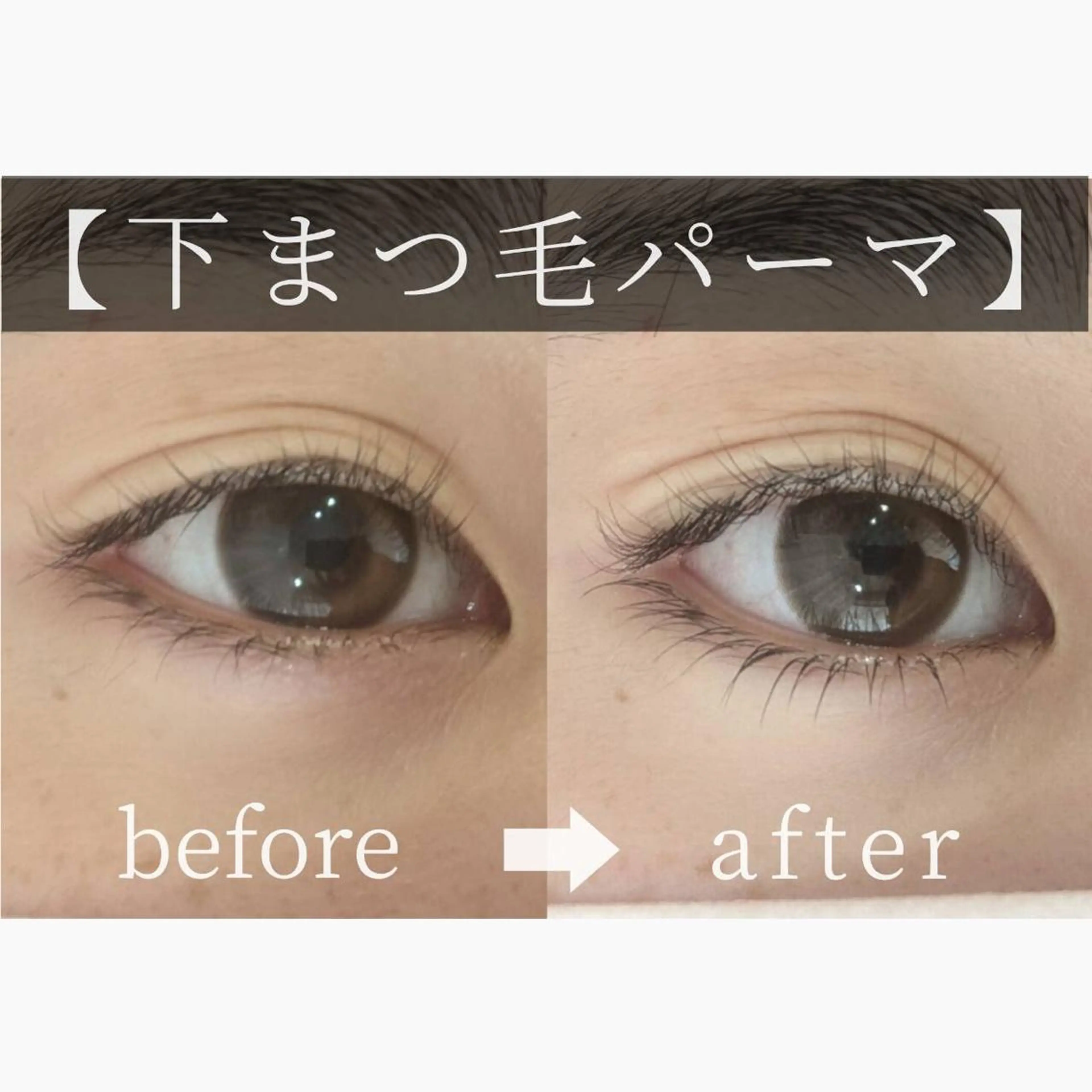 マツエク・マツパ 下まつげエクステ 一重×まつ毛パーマ Minette所属・eyelash Minetteのマツエク・マツパデザイン