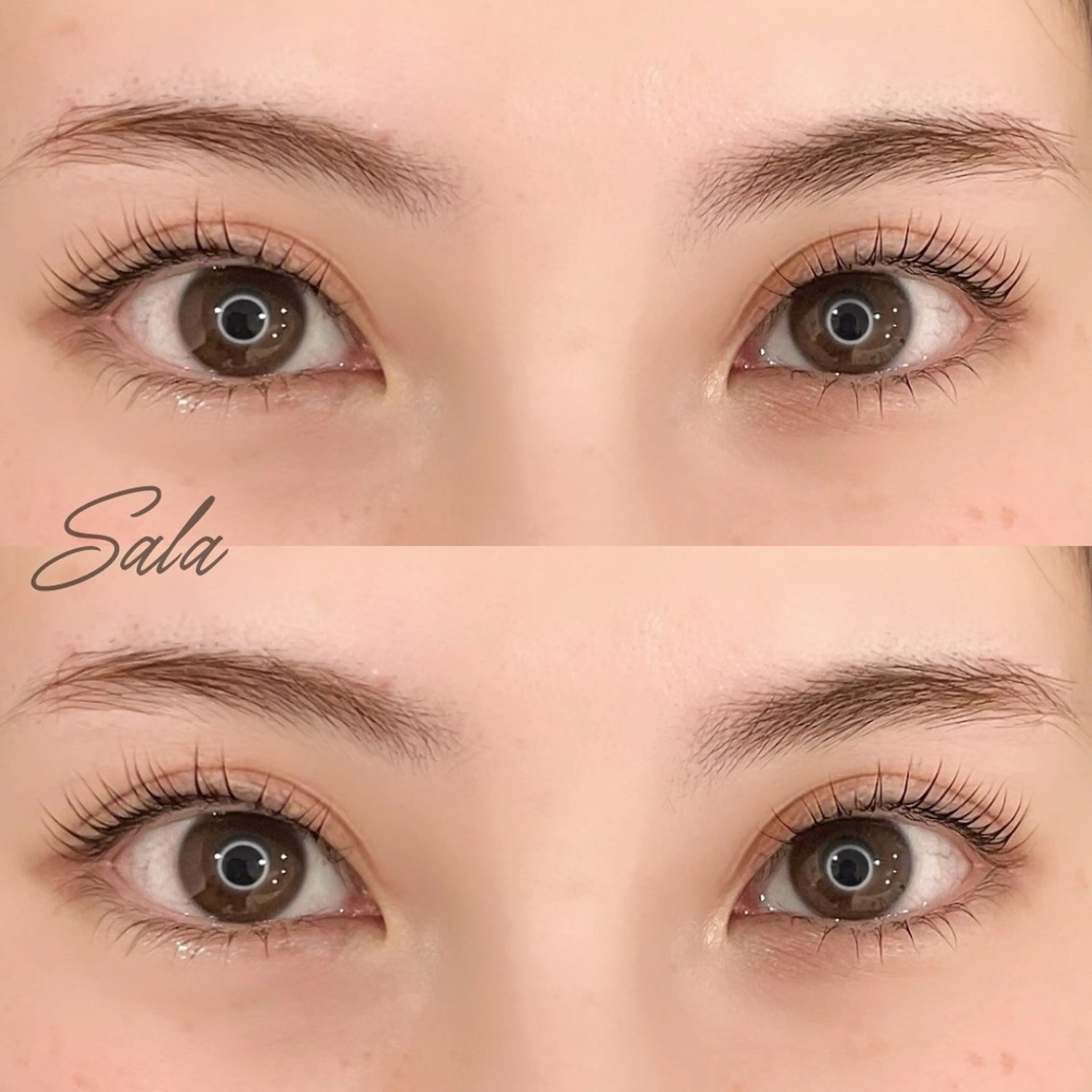 マツエク・マツパ トータルビューティー サロンSalaのマツエク・マツパデザイン