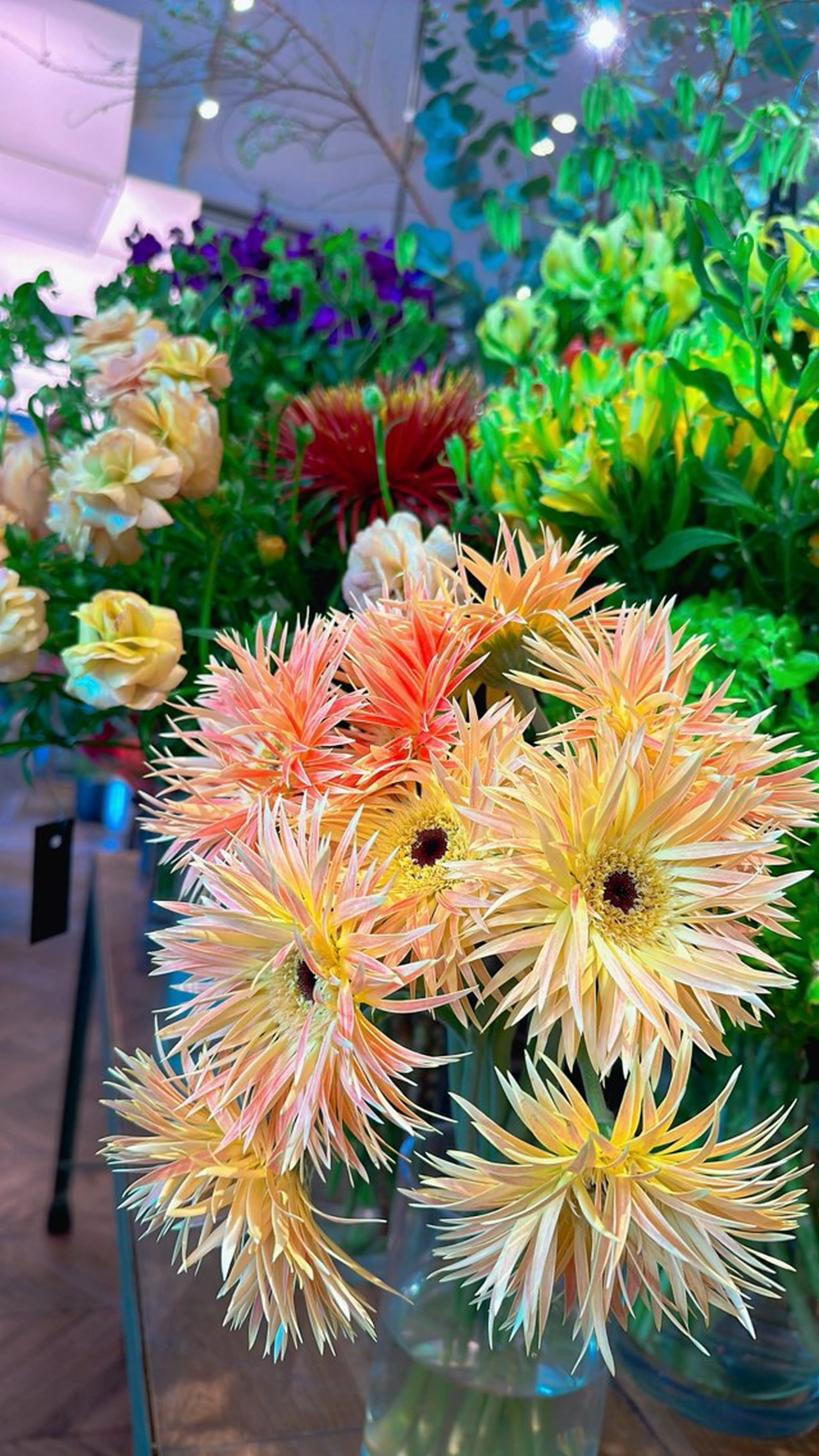 🌟シングルエクステ付け足し🌟60本までの付け足し〜再来のお客様限定〜の写真