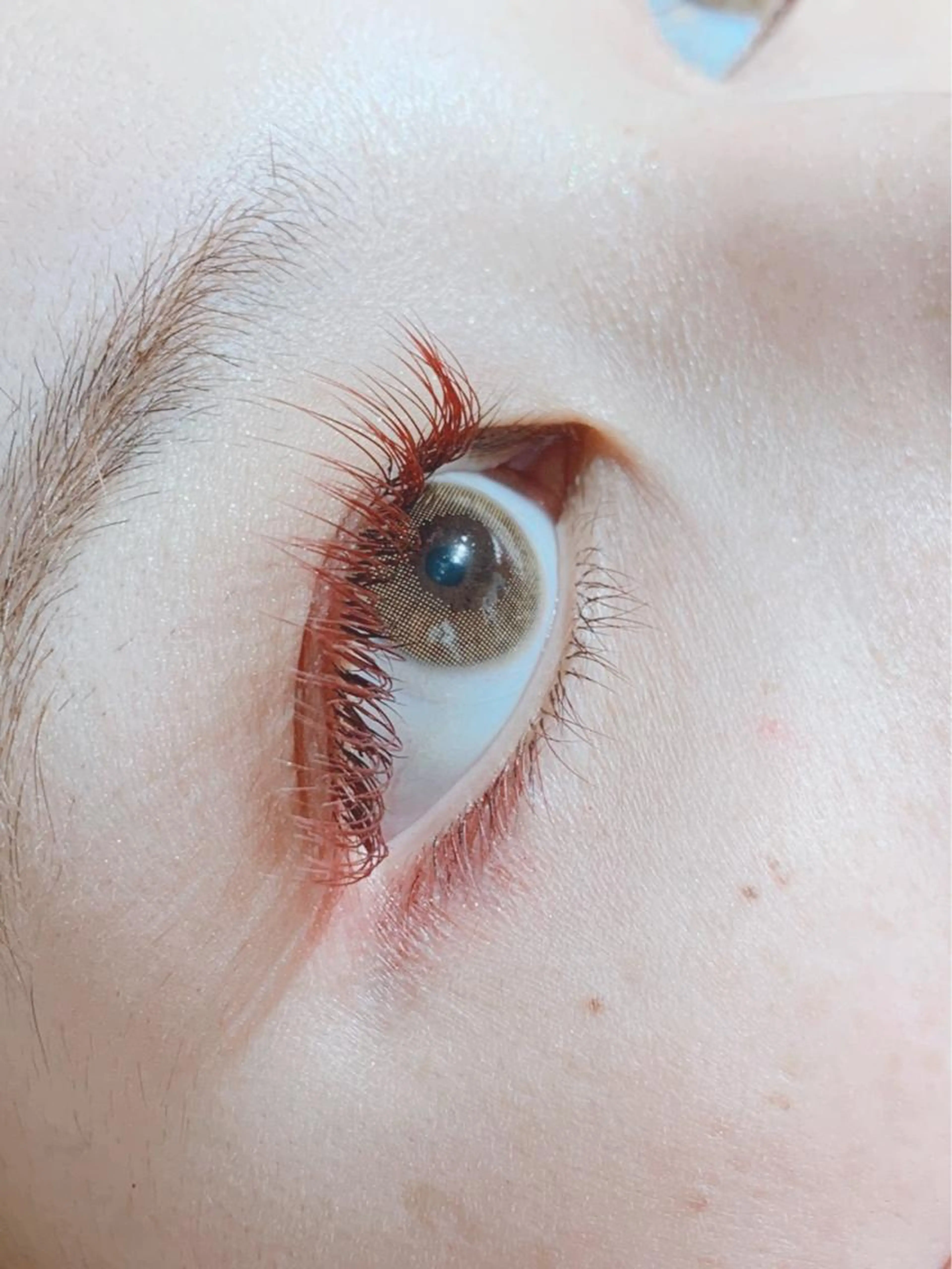 カラーエクステ140本🩷何色でもOK🩷オフ、最高級トリートメント、コーティング無料の写真