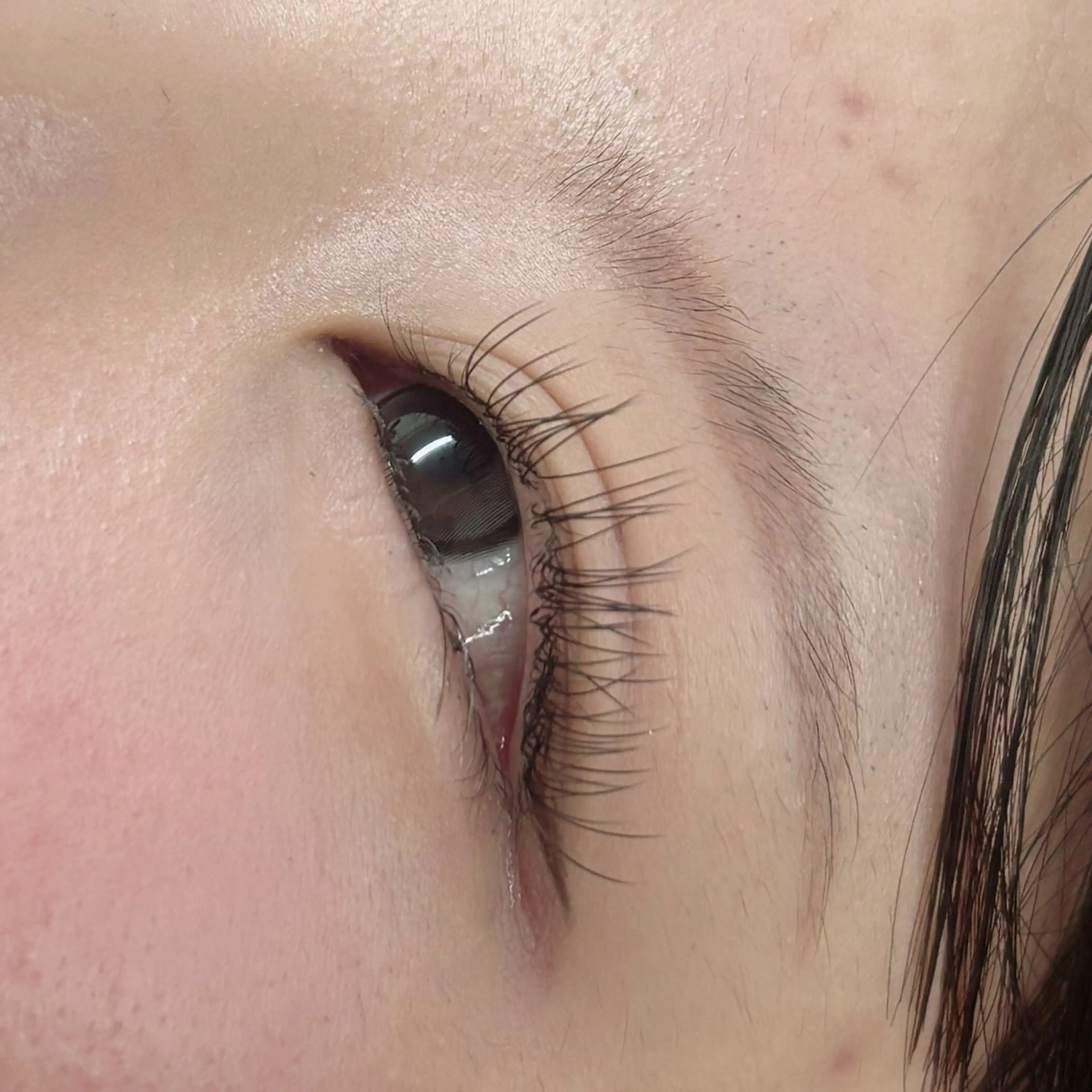 マツエク・マツパ 彩楓 /EYELA🪄ྀིのマツエク・マツパデザイン