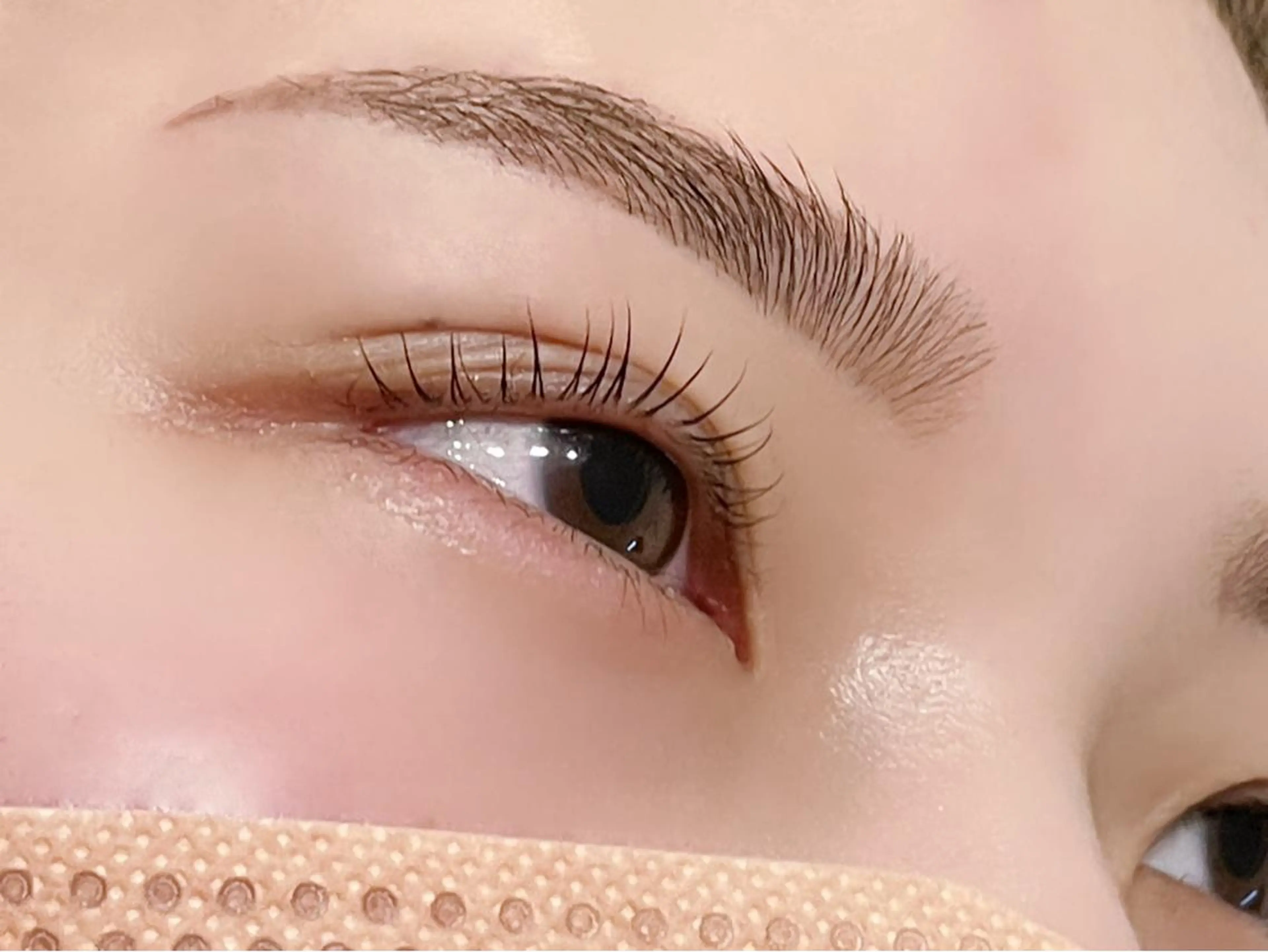 まつ毛パーマ上＋眉毛wax＋眉毛パーマ（HBL）の写真