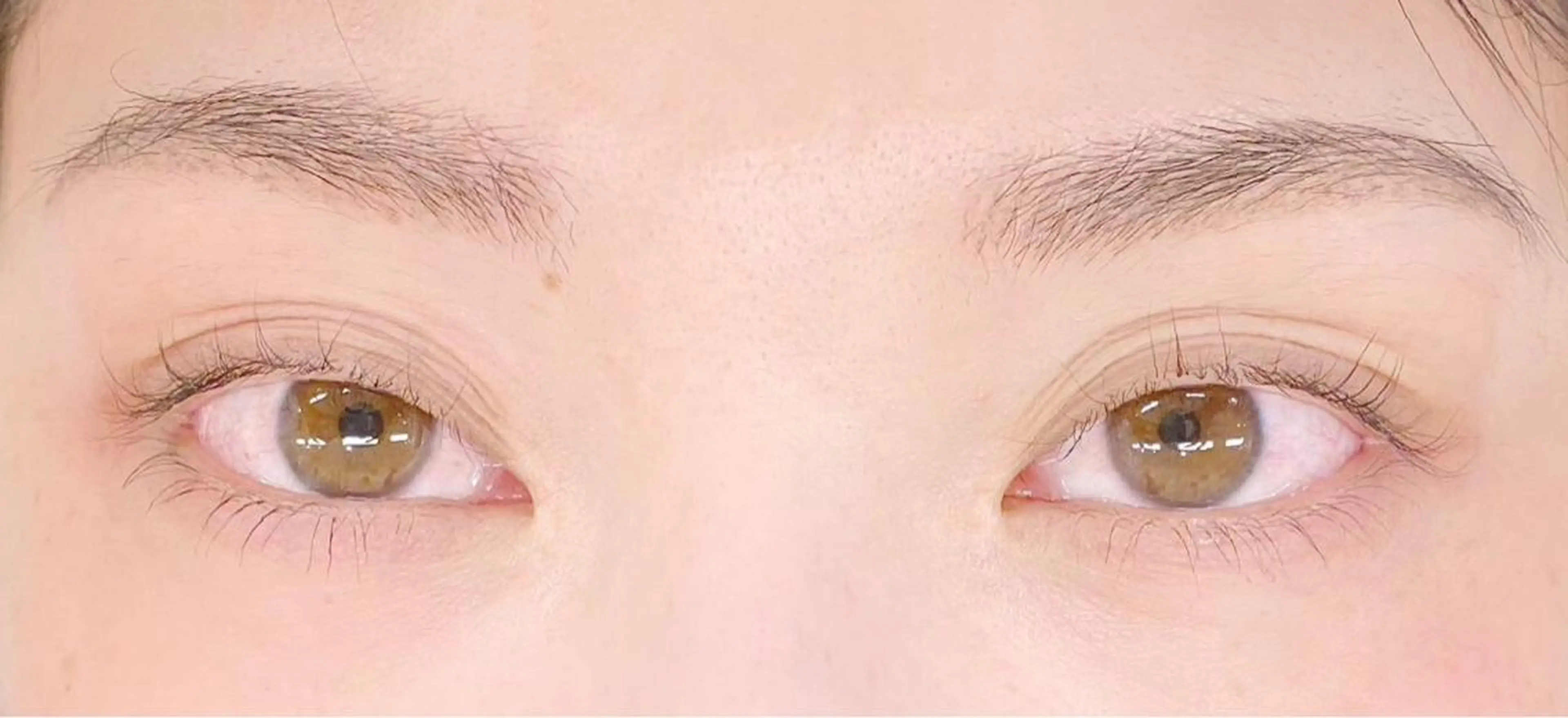 マツエク・マツパ マツパ Royal eyelashのマツエク・マツパデザイン