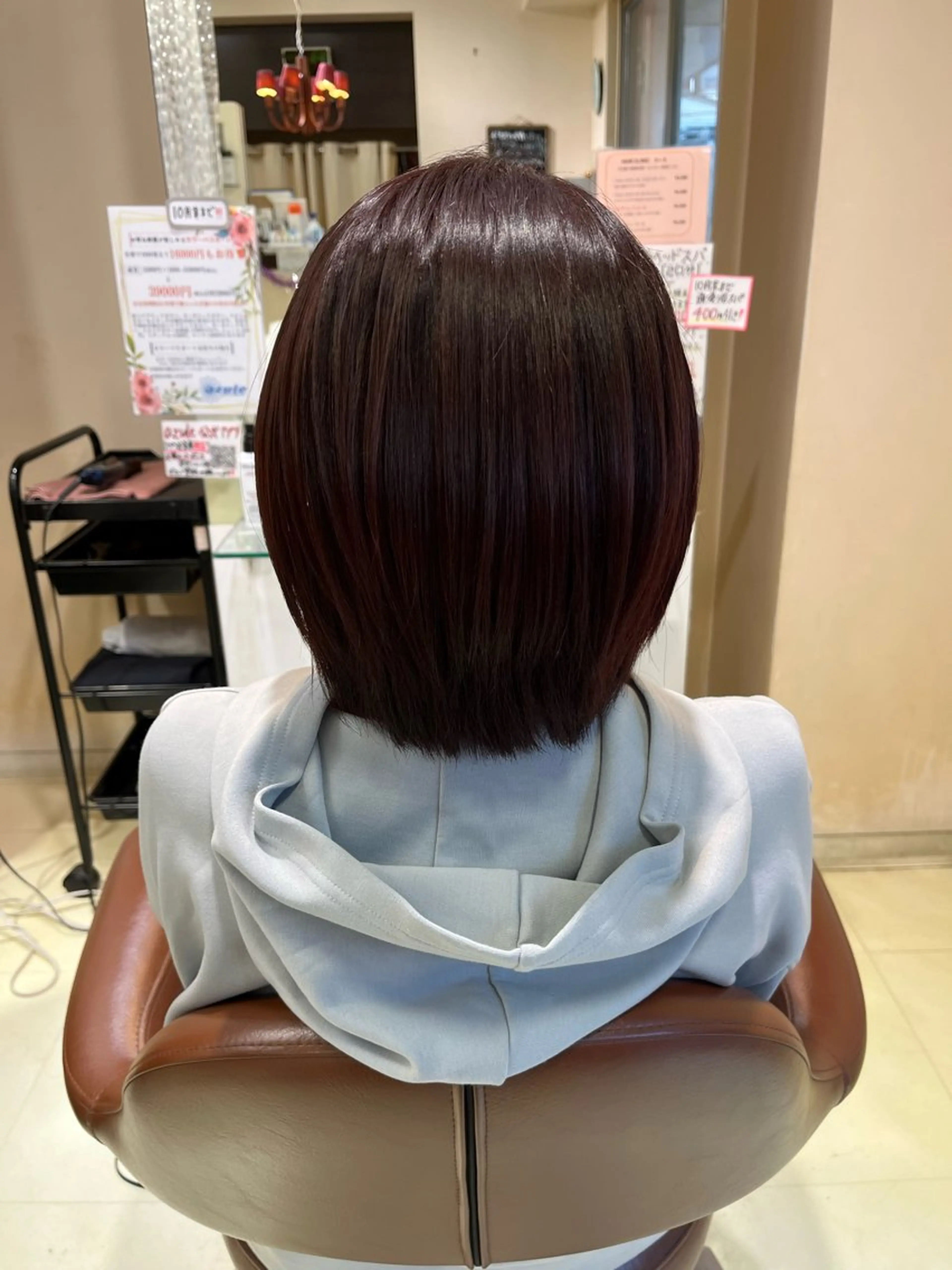 ショート ボブ レイヤーカット 田中 沙羅のヘアスタイル