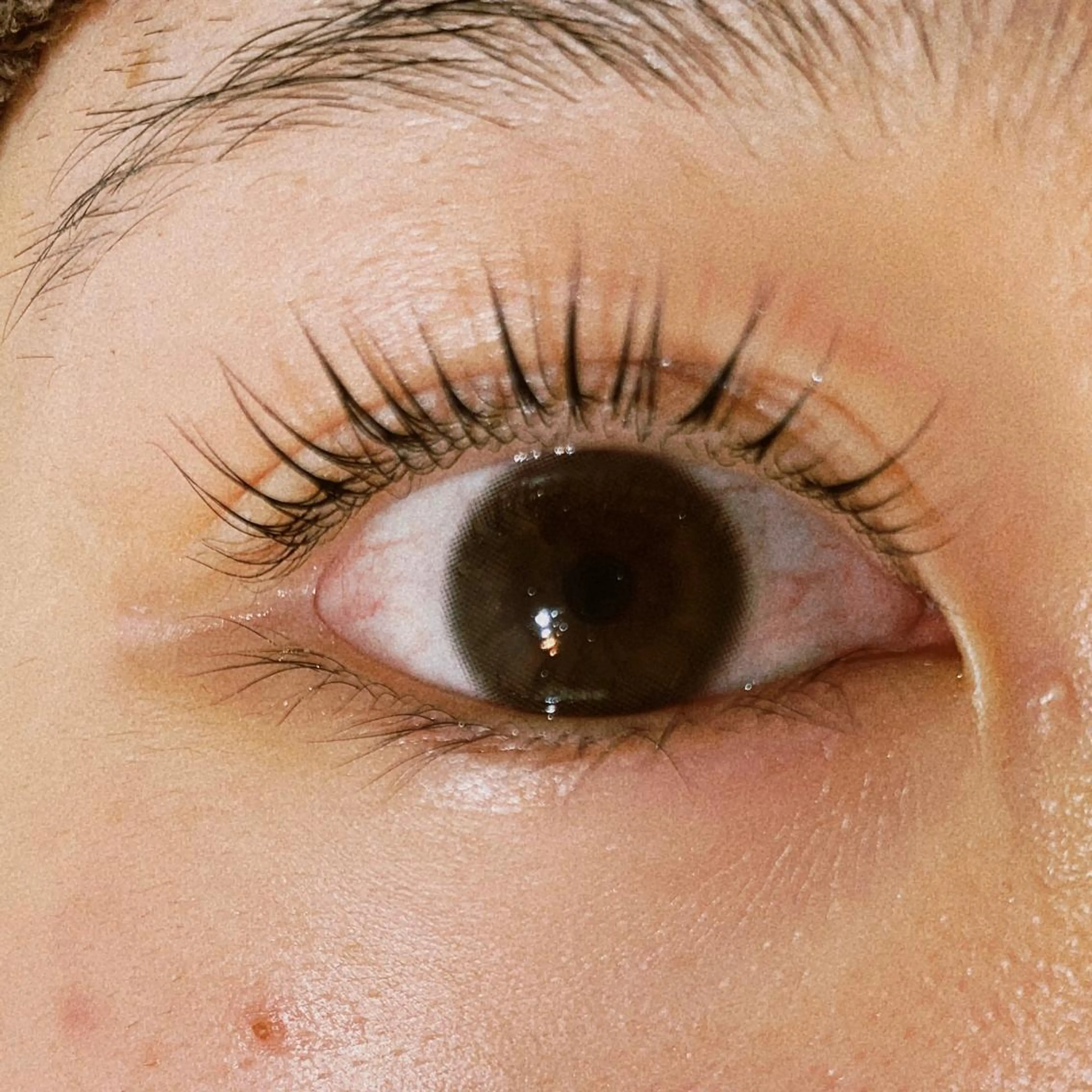 マツエク・マツパ 🧸Celeste Venusのマツエク・マツパデザイン