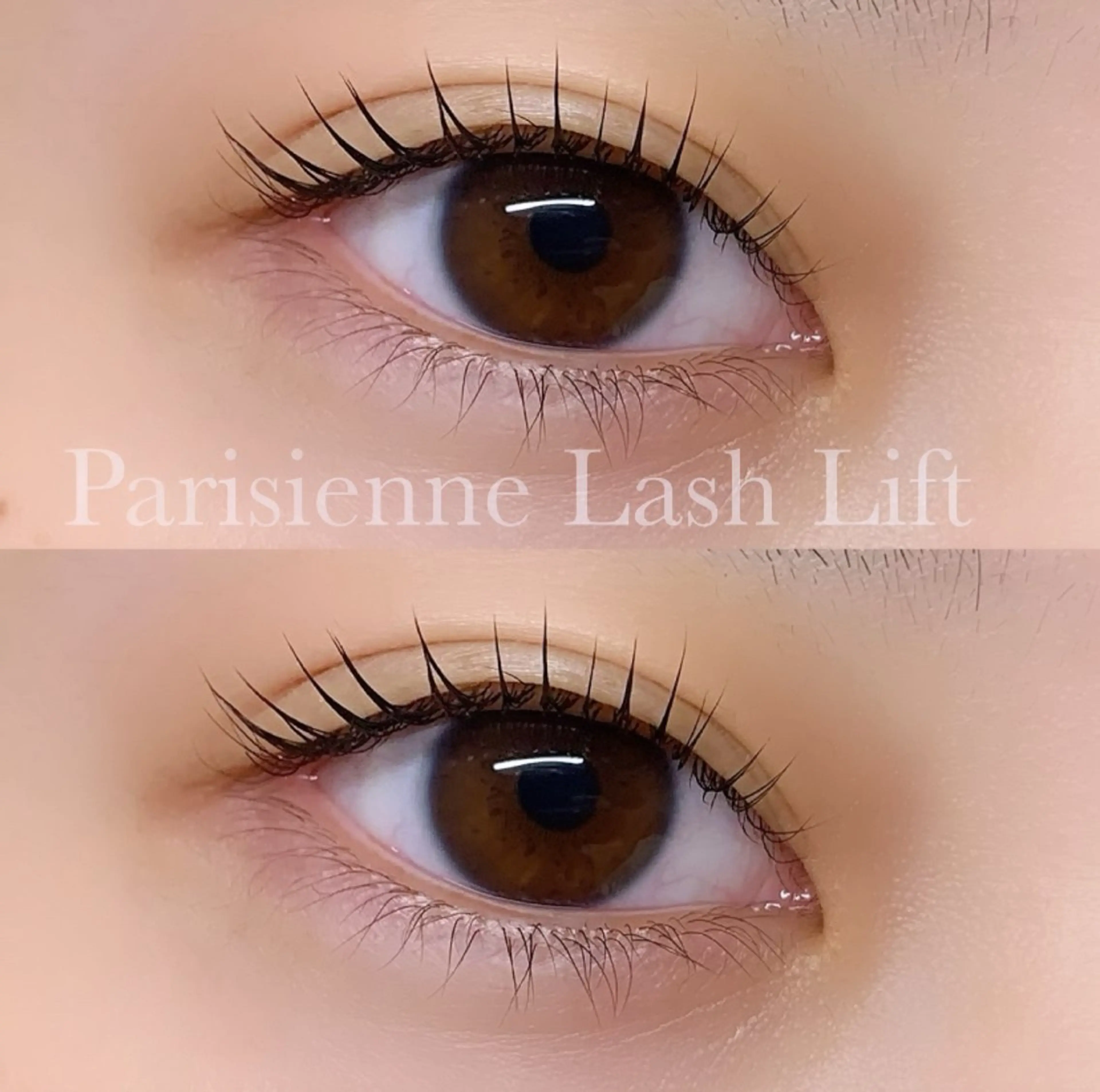 マツエク・マツパ パリジェンヌラッシュリフト マツパ Ayumi.pro 🍆N《4階》のマツエク・マツパデザイン