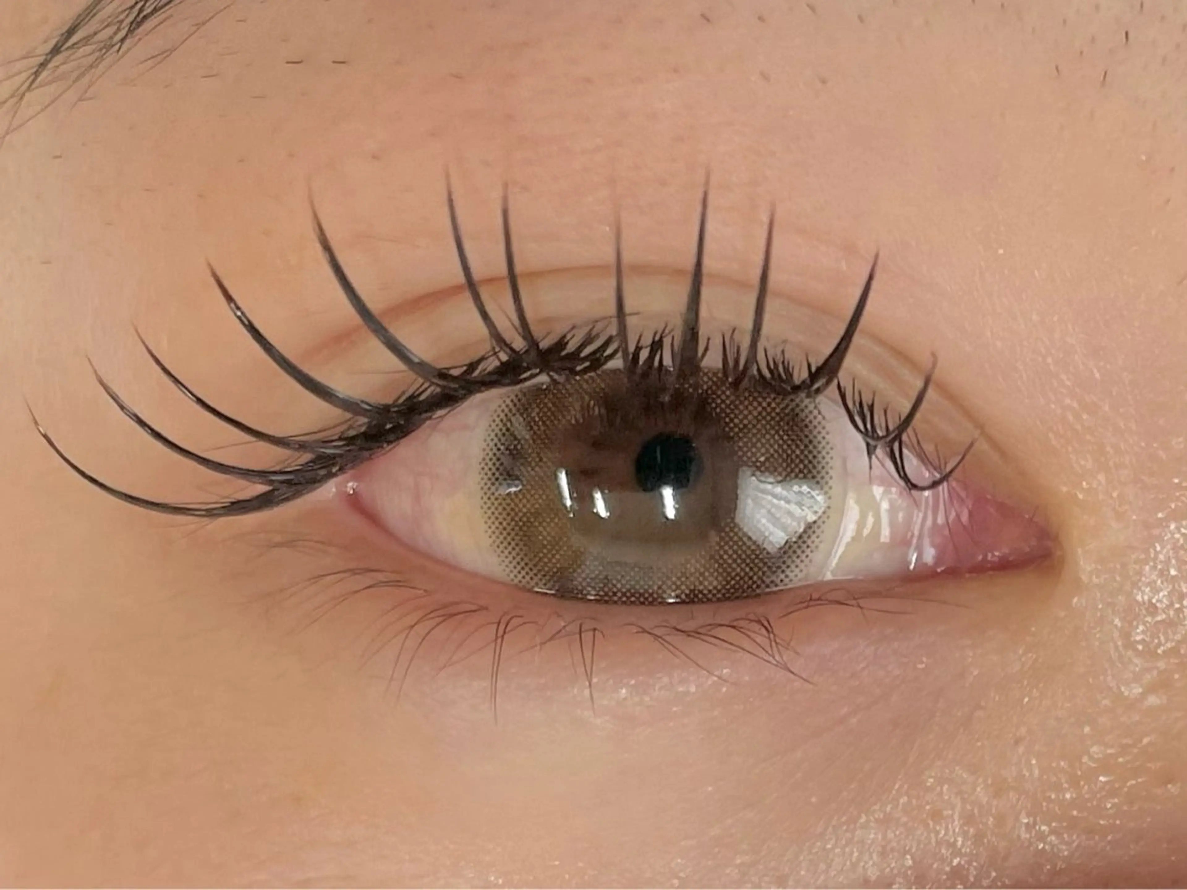 🎀ラッシュリフト 上🎀保湿TR込【所要時間 約60分】の写真