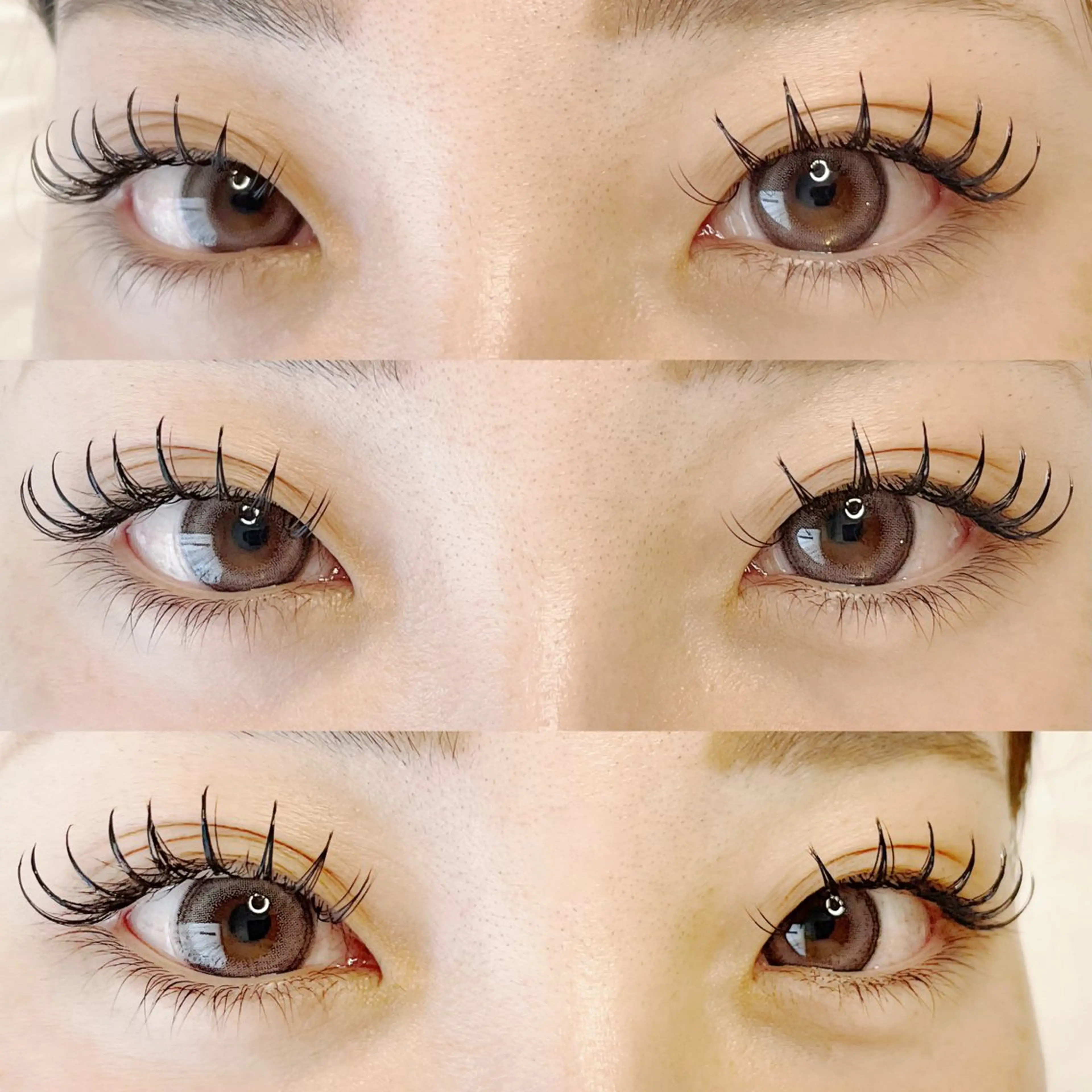 持続力最強🌹【人気】フラットプラス160本(80束)の写真