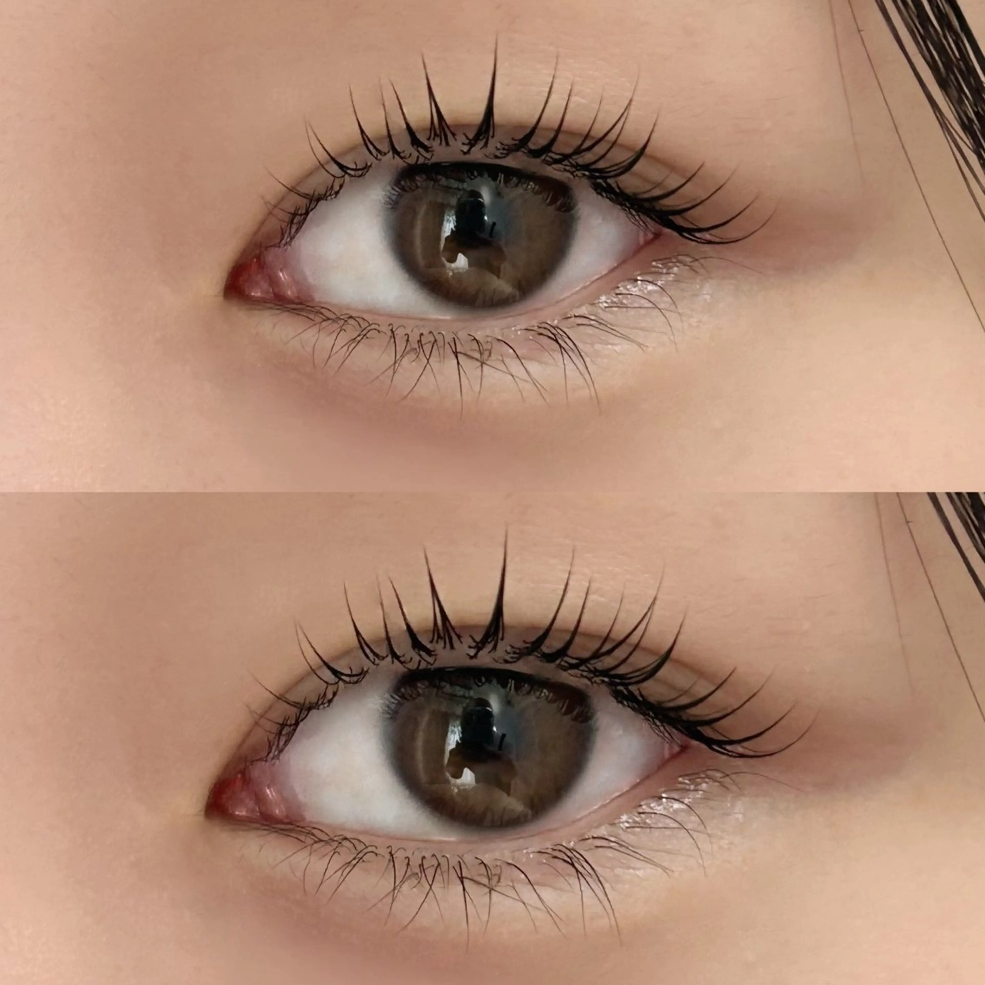 マツエク・マツパ ロレインブロウ 二俣川店のマツエク・マツパデザイン