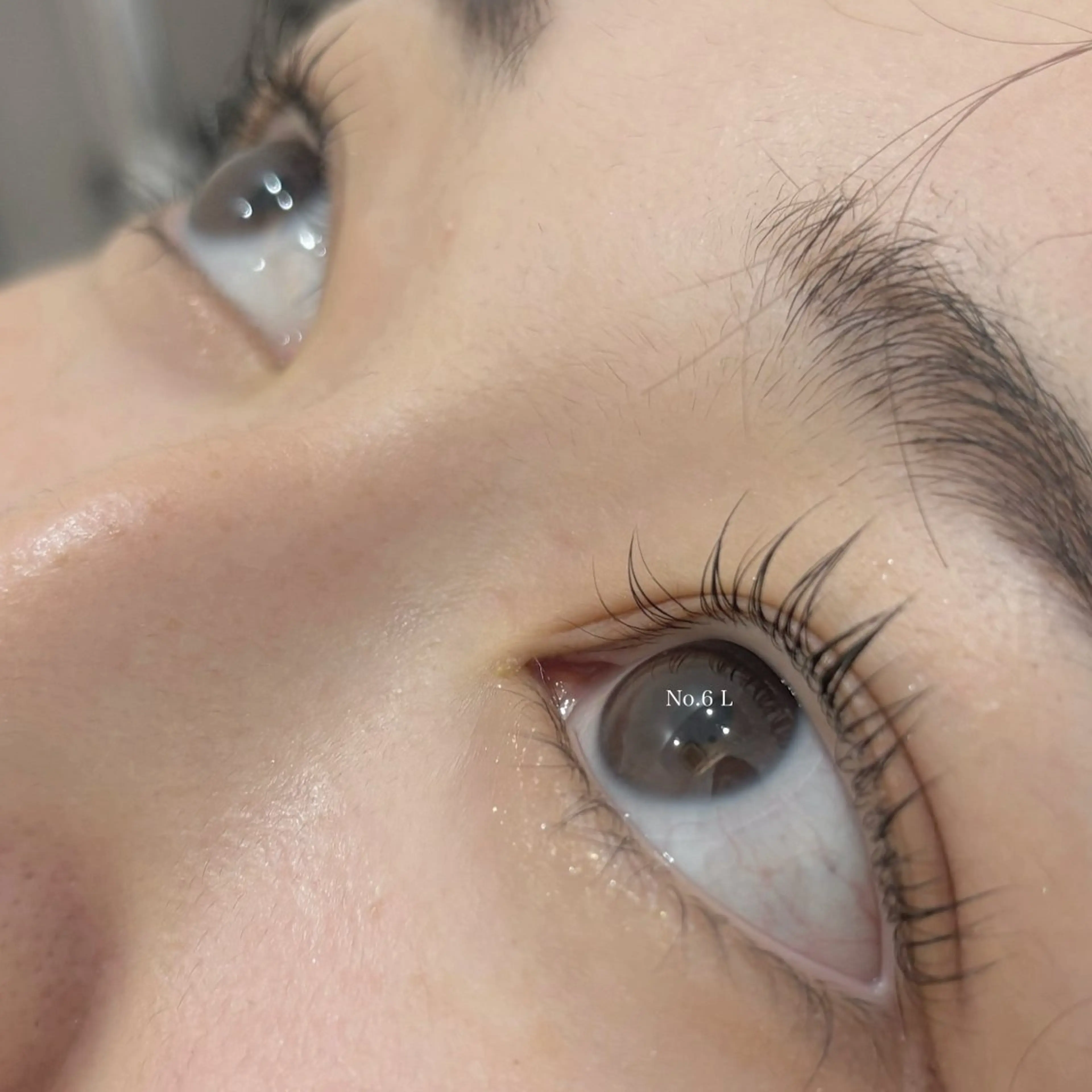 ãããšã¯ã»ããã ããã ðPROGRESS ä¹
ä¿Â èå¥ðã®ãããšã¯ã»ããããã¶ã€ã³