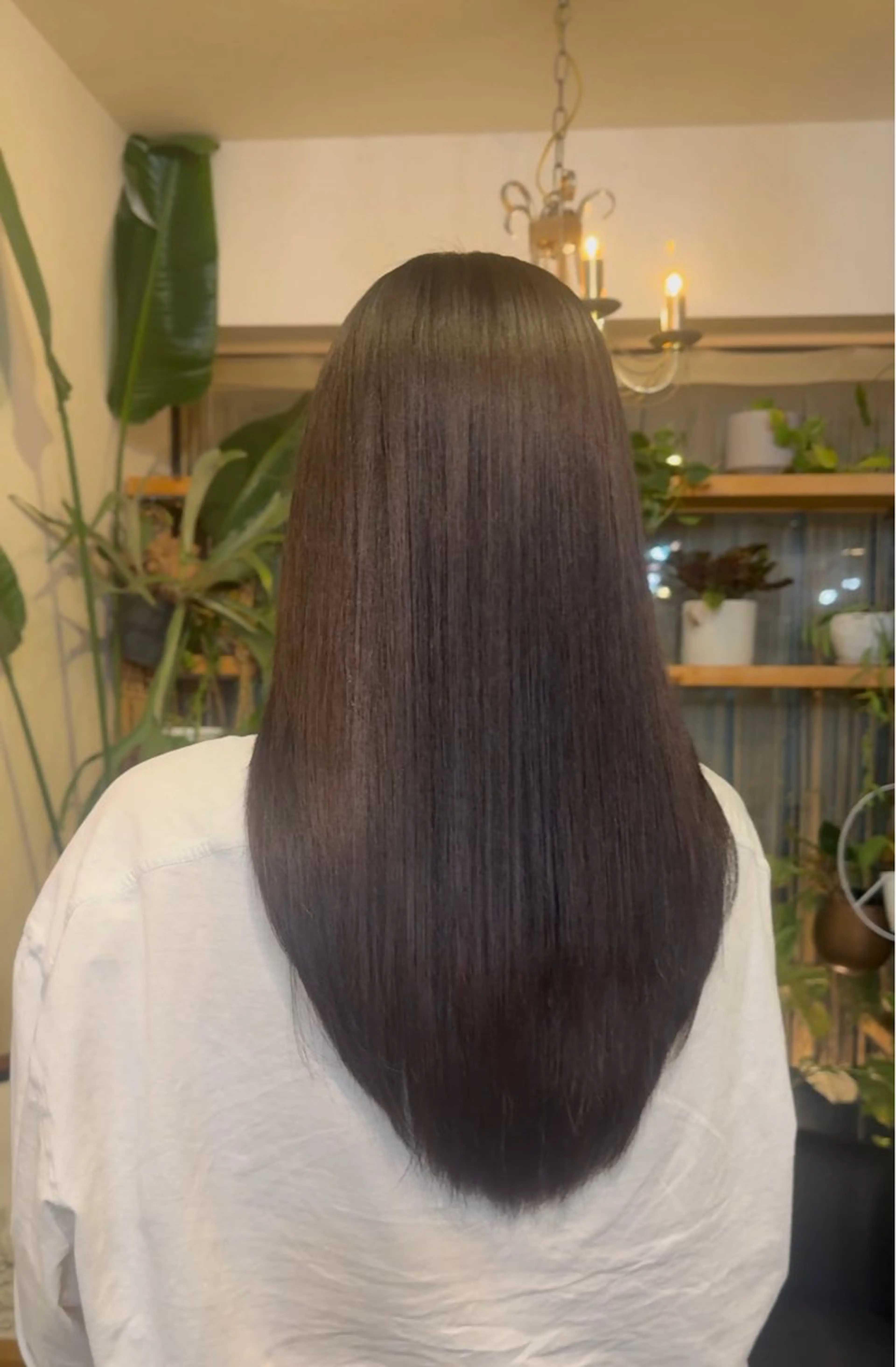 【🐏ロング限定🐑】メンテナンスカット(3cm以内)の写真