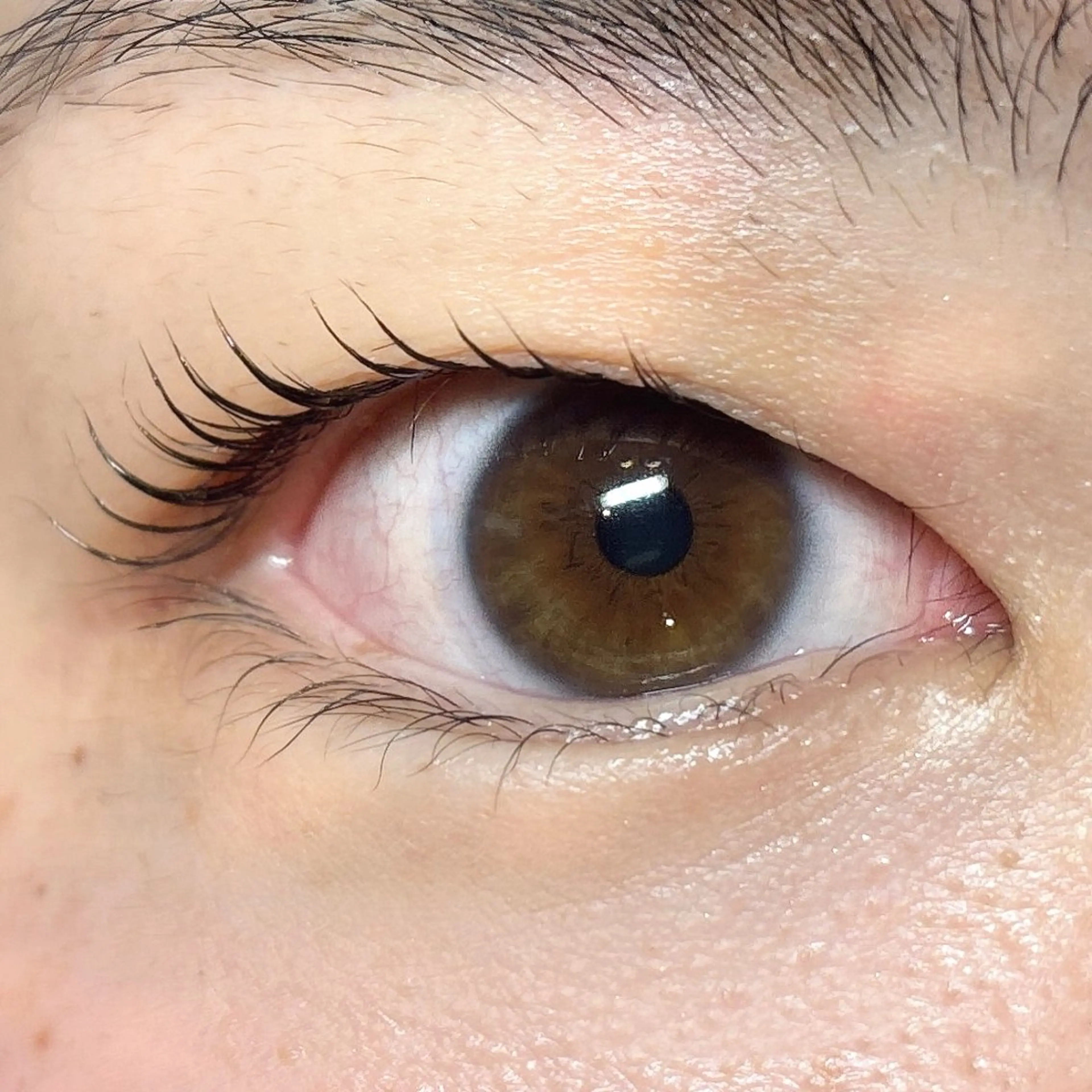 マツエク・マツパ naitre 🌼SHIORI🌼のマツエク・マツパデザイン