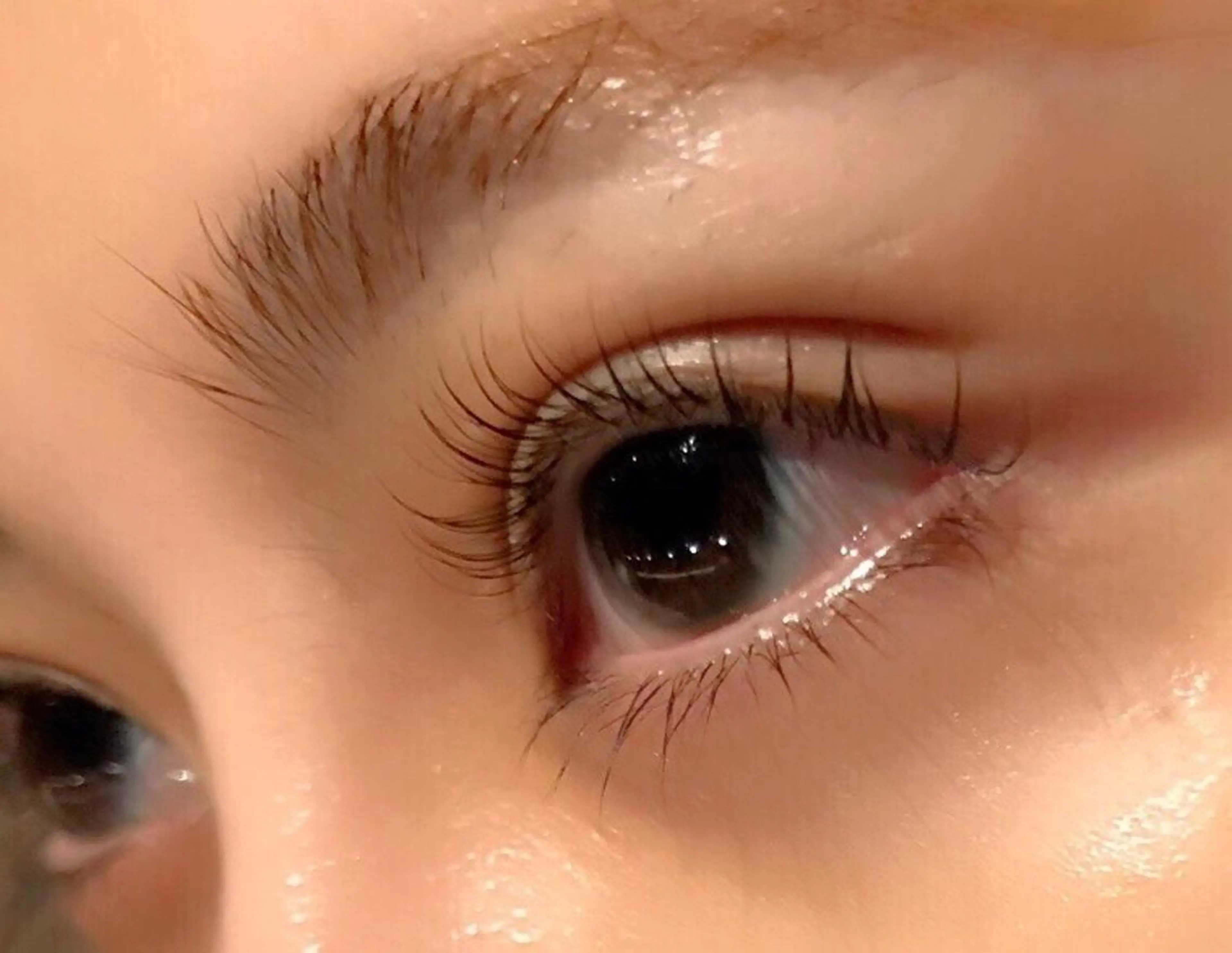 マツエク・マツパ まつげパーマ Le'a first AKANEのマツエク・マツパデザイン