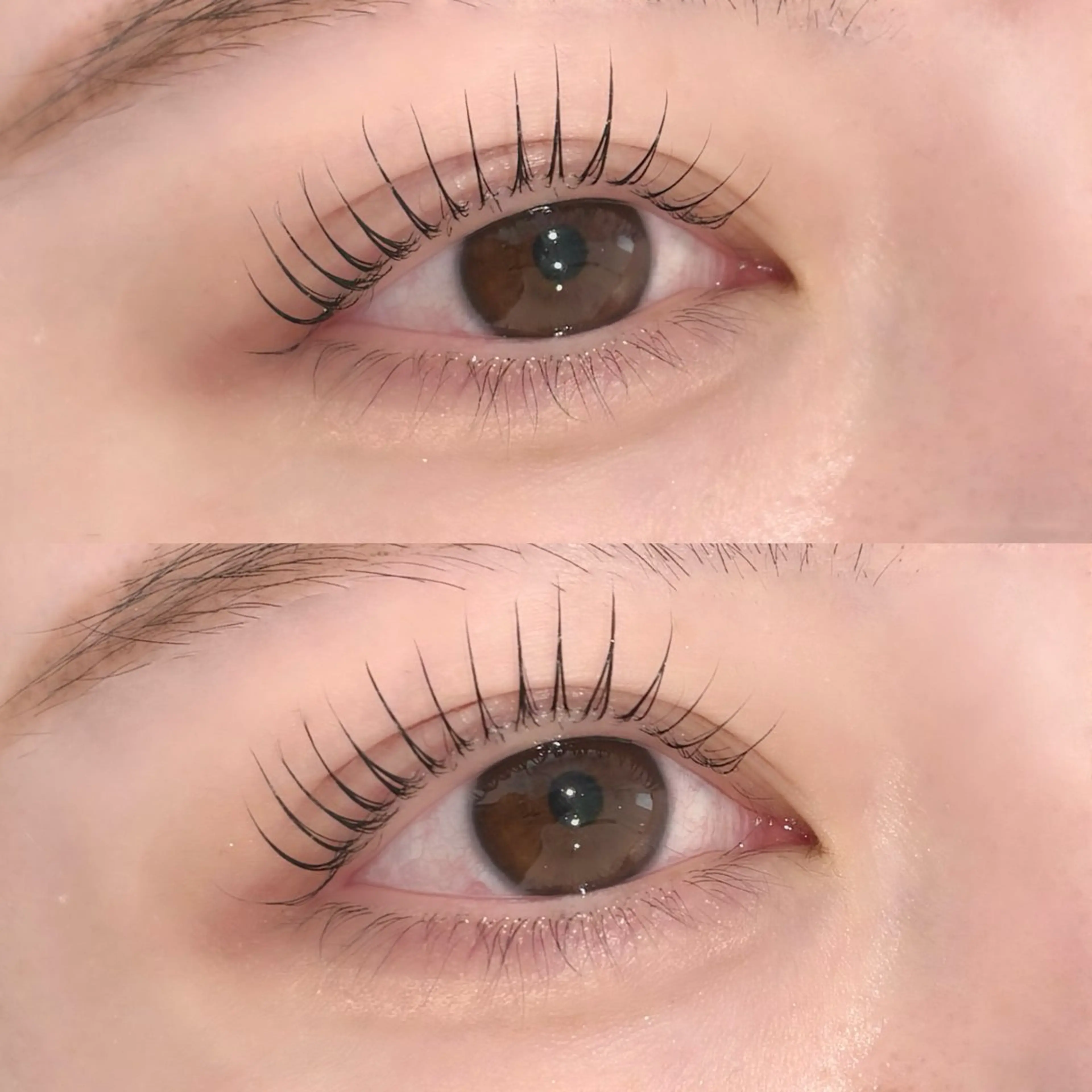 【4/13限定】⭐️パリジェンヌorまつげパーマ⭐️+コーティング仕上げ🍒の写真