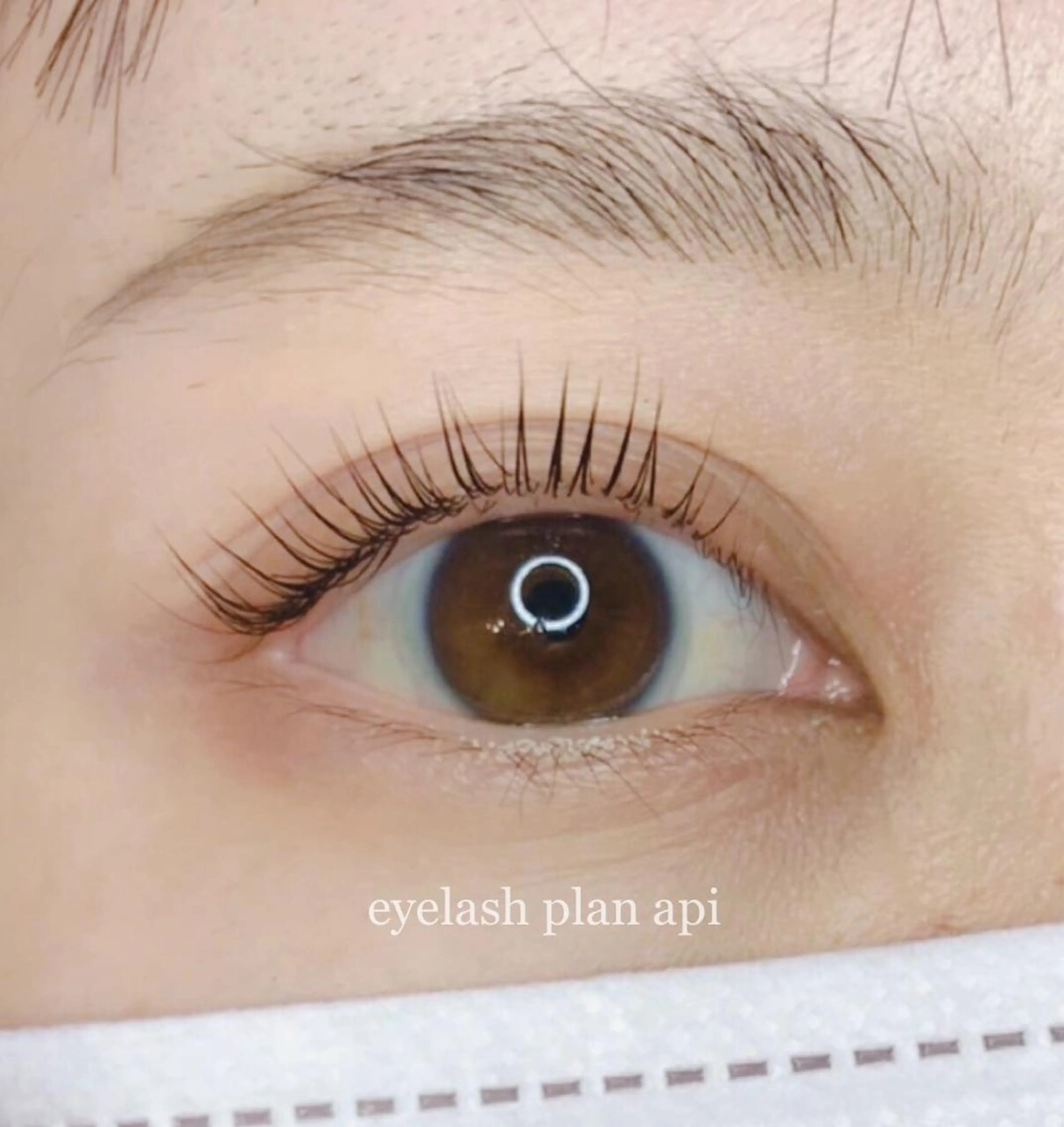 マツエク・マツパ 《eyelash ｉｉｔｅ》森のマツエク・マツパデザイン