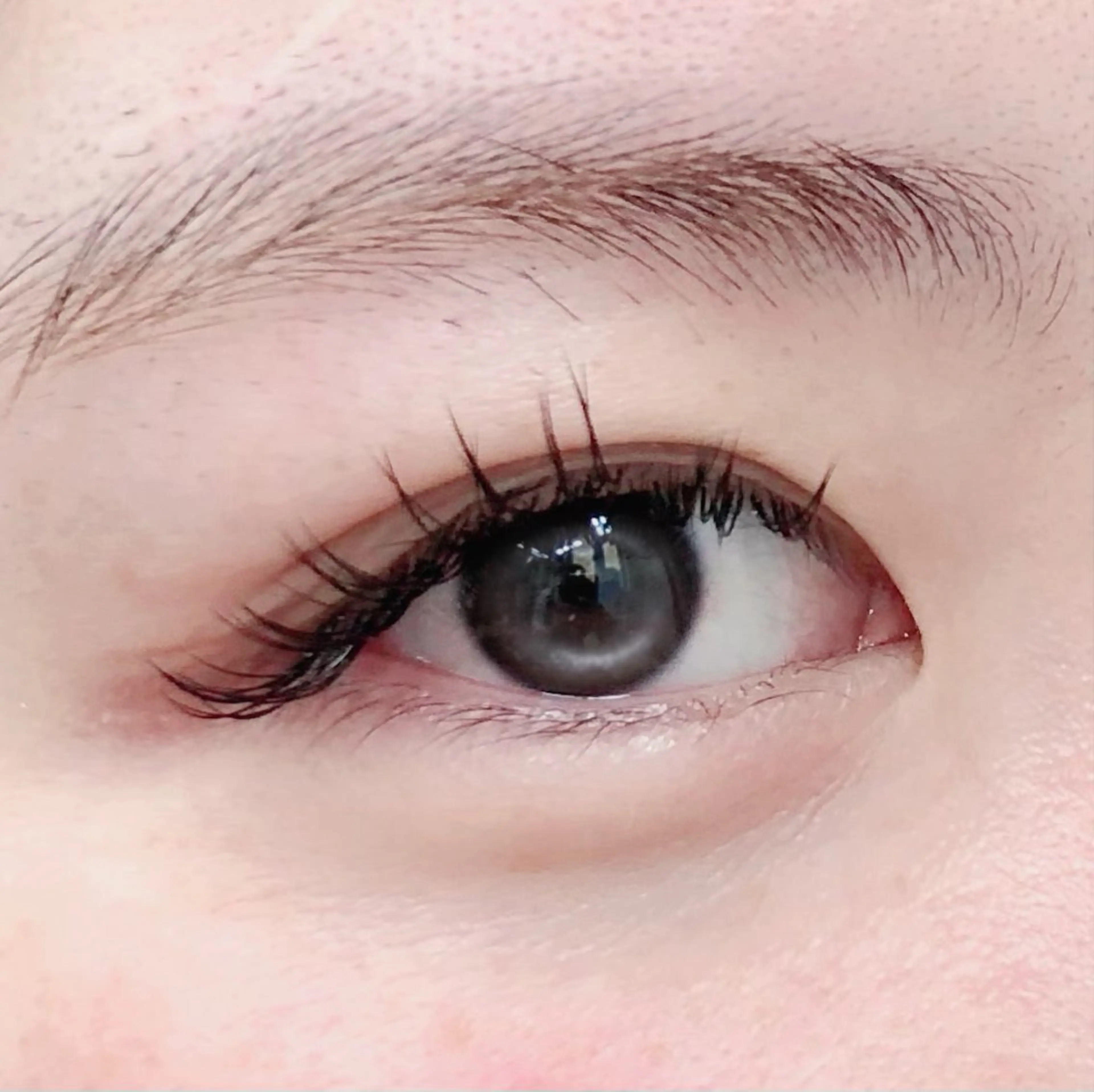 マツエク・マツパ ココラッシュ みうのマツエク・マツパデザイン