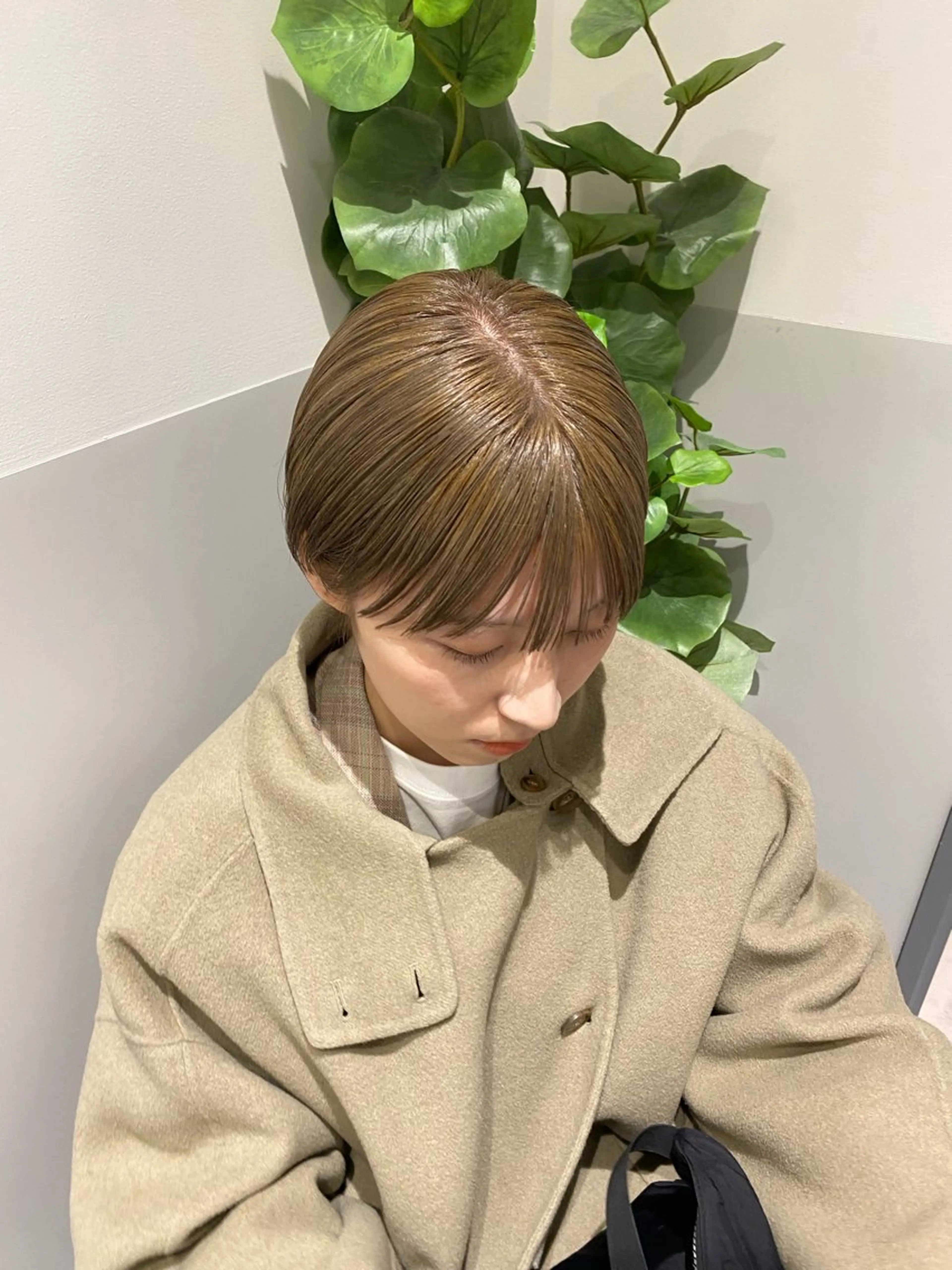 ショート カラー カット ヘアカラー トリートメント 🟩白髪ぼかし/ボブ /ショートヘア/大司のヘアスタイル