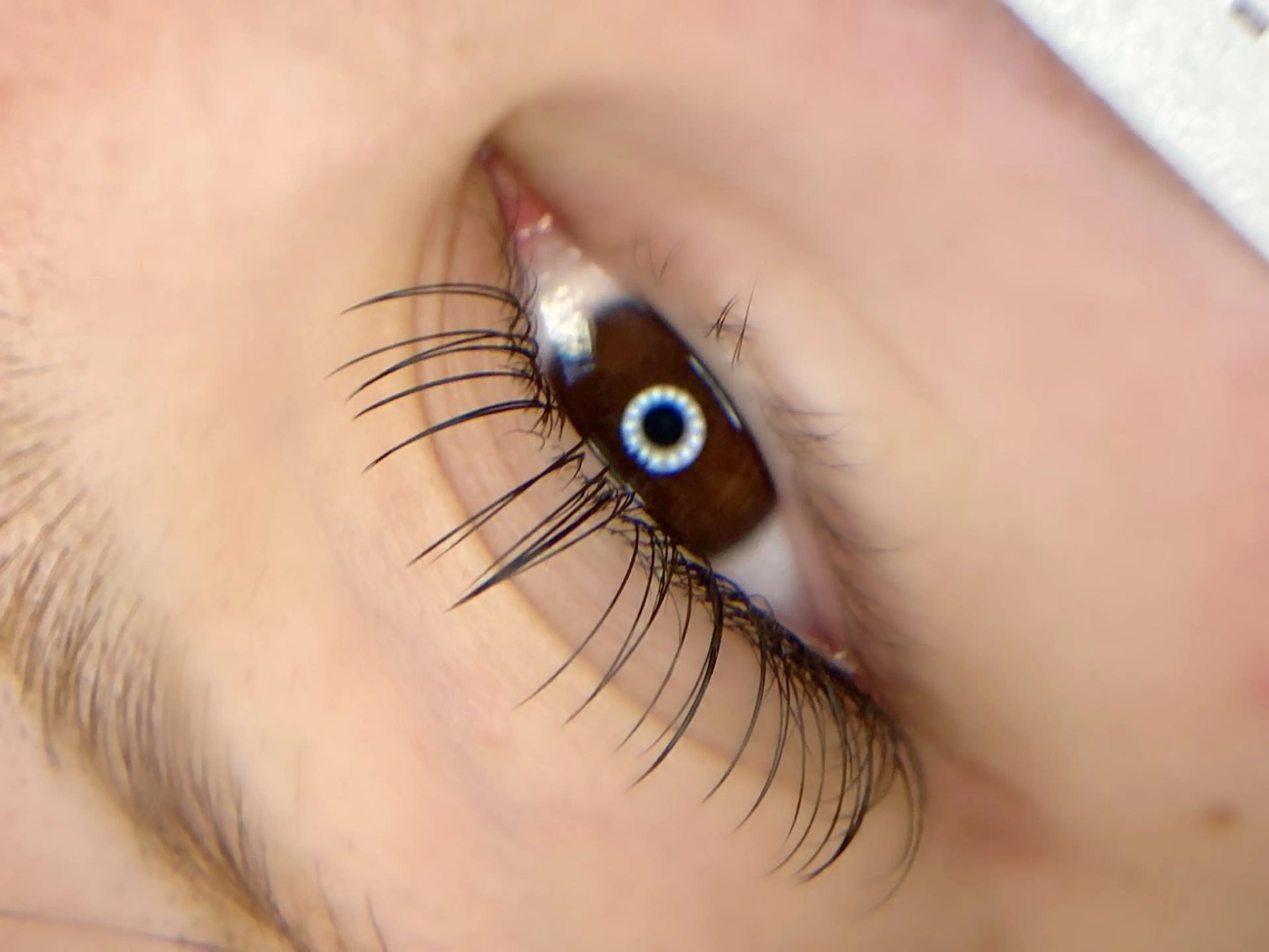 マツエク・マツパ tomte トムテのマツエク・マツパデザイン