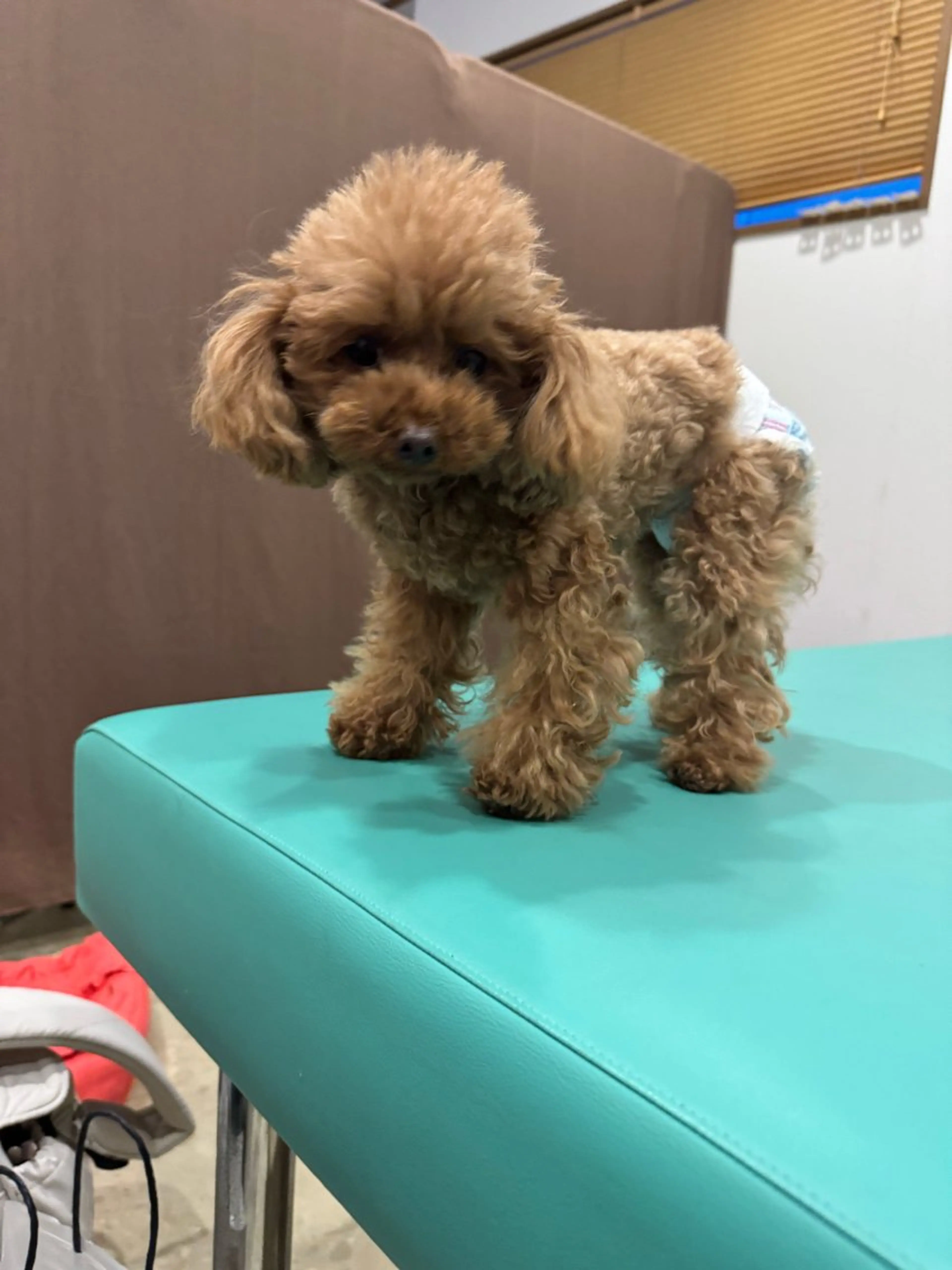 松本 昌也のエステ・リラクイメージ