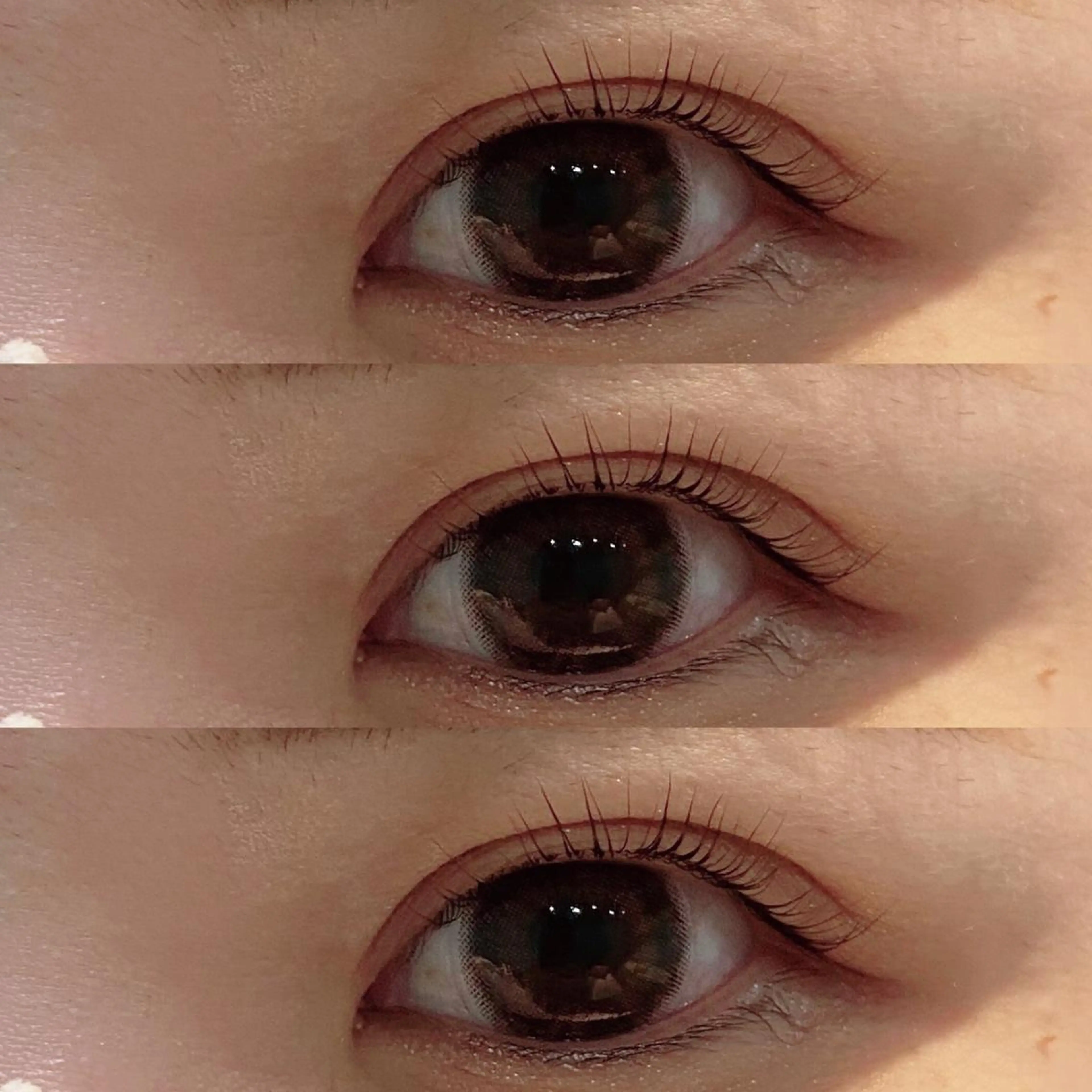 マツエク・マツパ パリジェンヌラッシュリフト Bianca 長津田店　長牛の眉毛・アイブロウイメージ