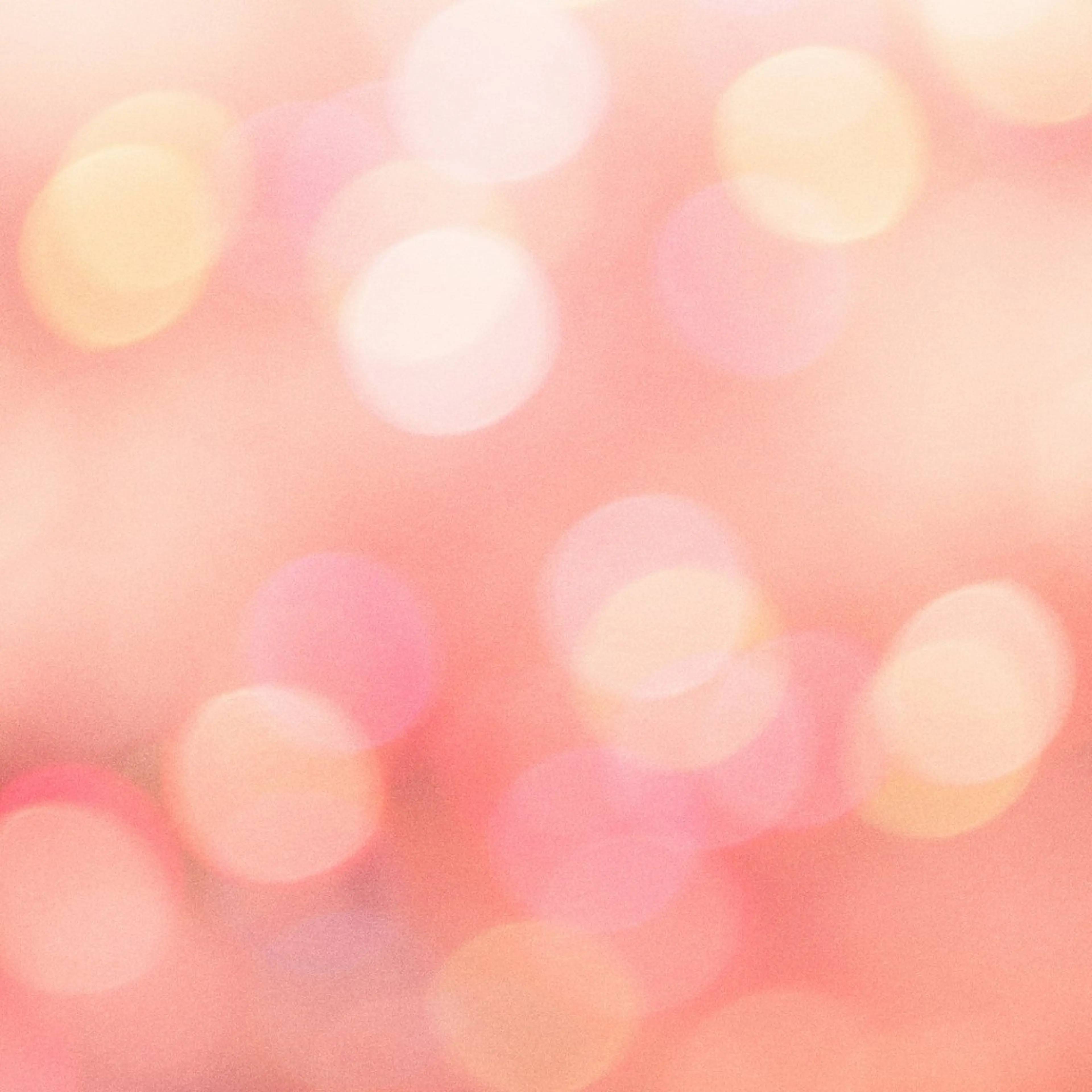 ネイル LIIRA(西船)/ やまださおりのマツエク・マツパデザイン