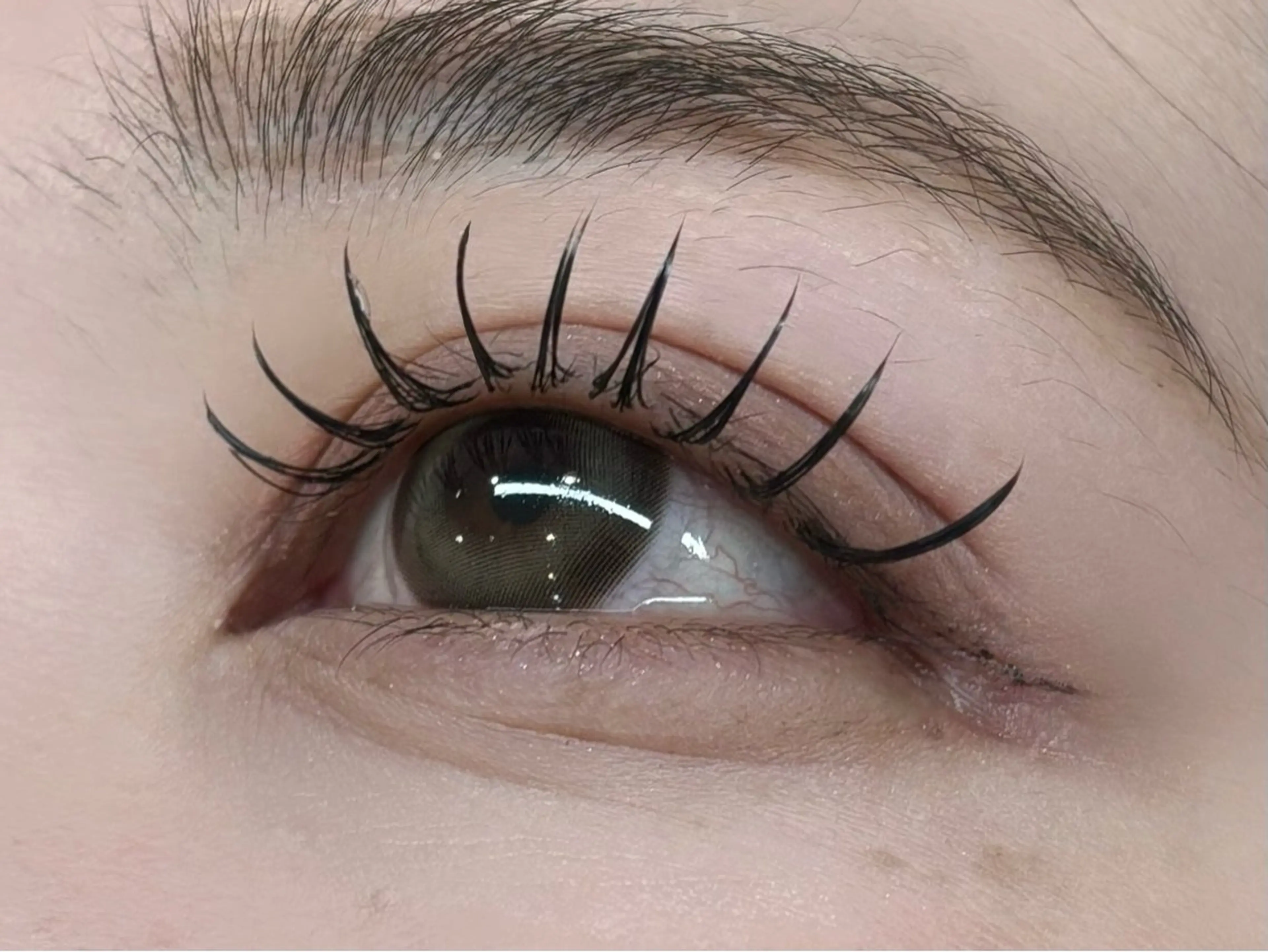 マツエク・マツパ マツエク eyelash&nail　Liora所属・Liora川越 YUIのマツエク・マツパデザイン