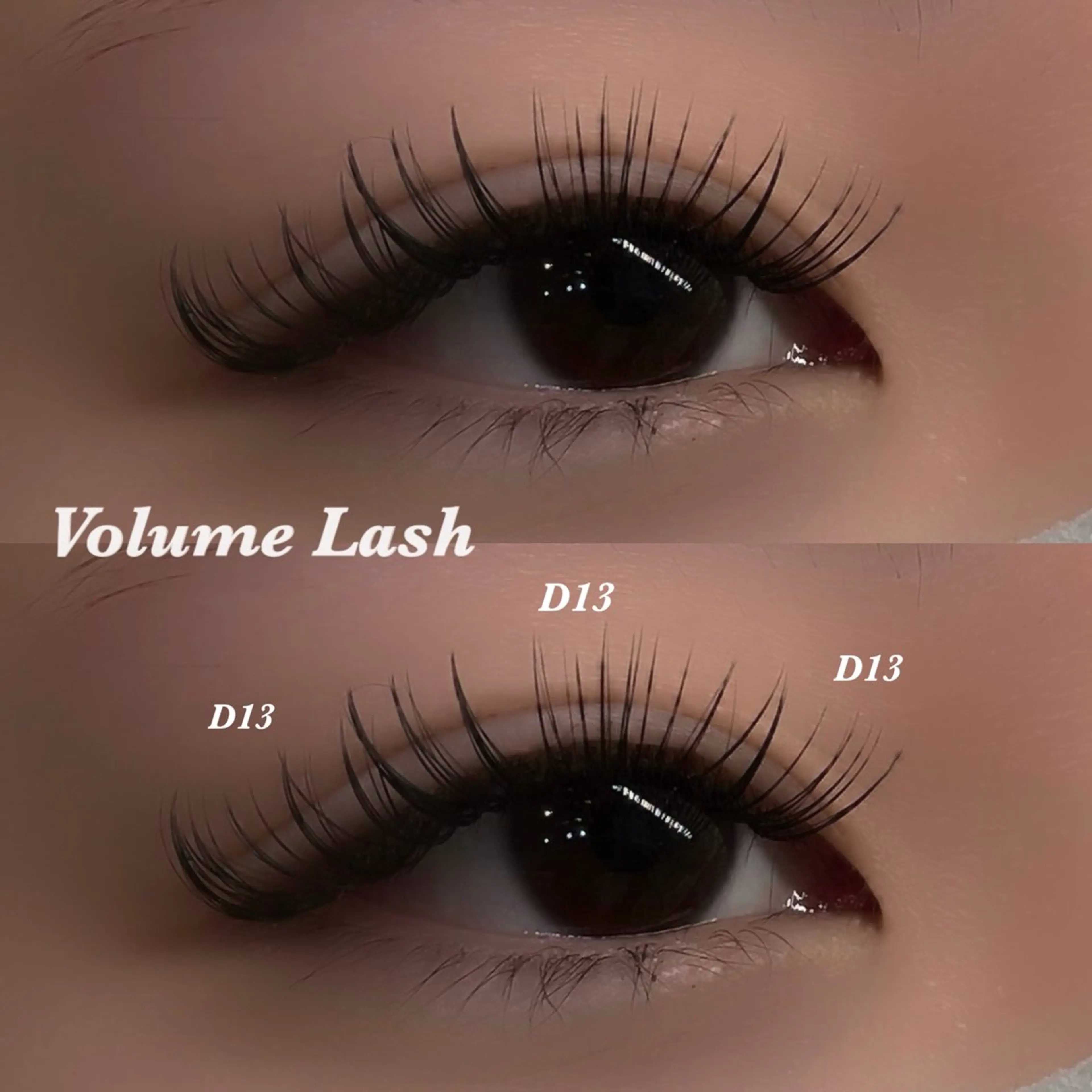 🦋ボリュームラッシュつけ放題🦋の写真