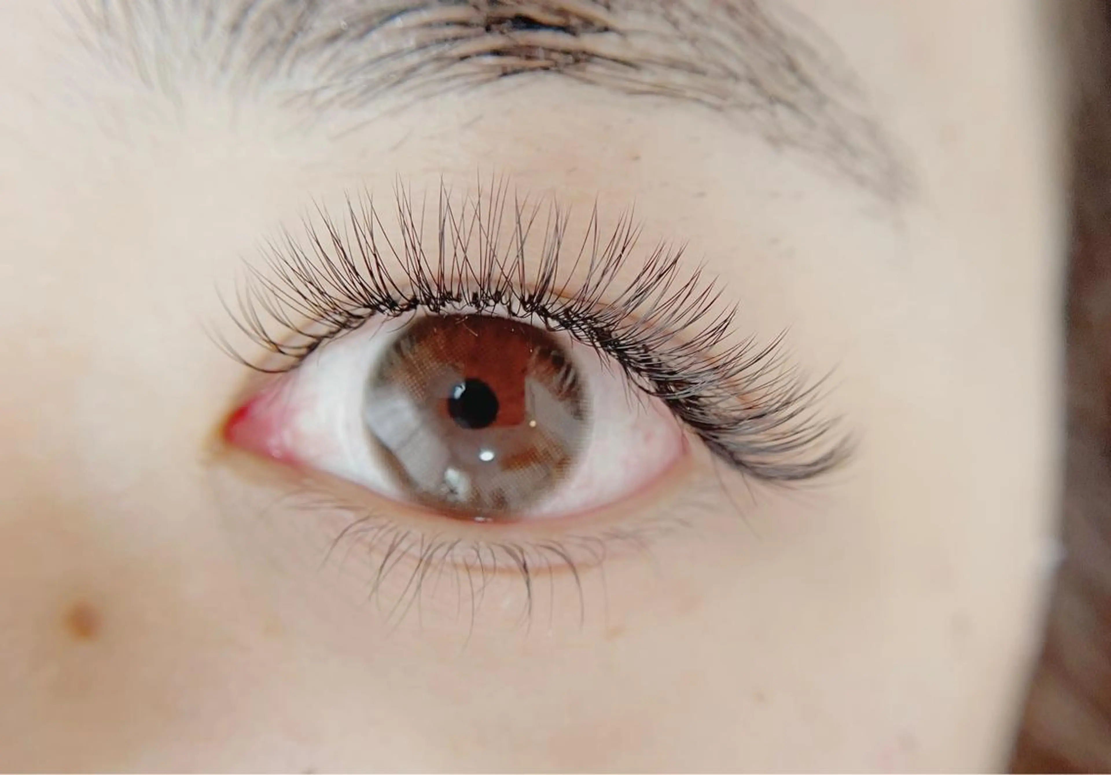 マツエク・マツパ Lotus.所属・Lotus. makoのエステ・リラクイメージ