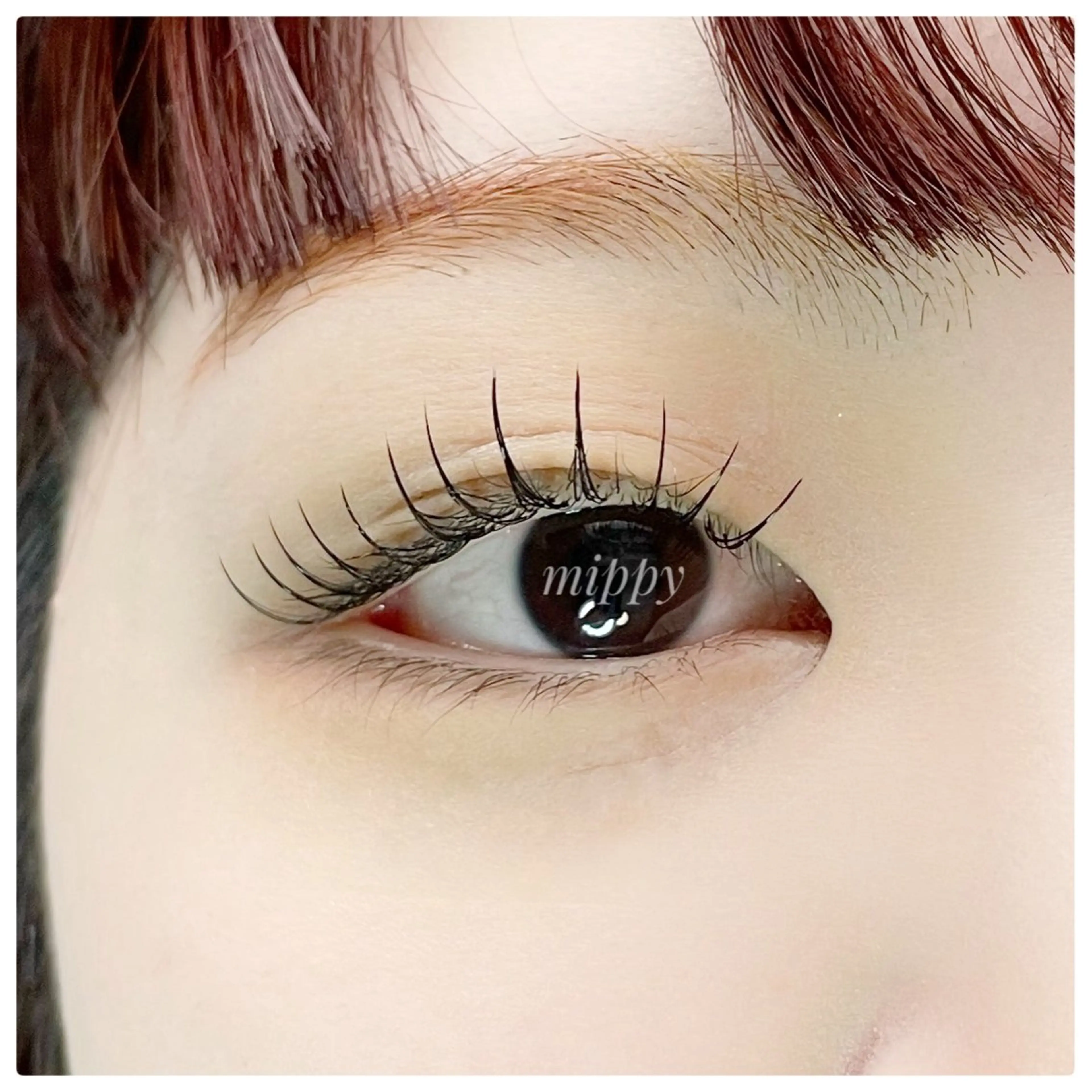 マツエク・マツパ ｍｉｐｐｙ 🪽のマツエク・マツパデザイン