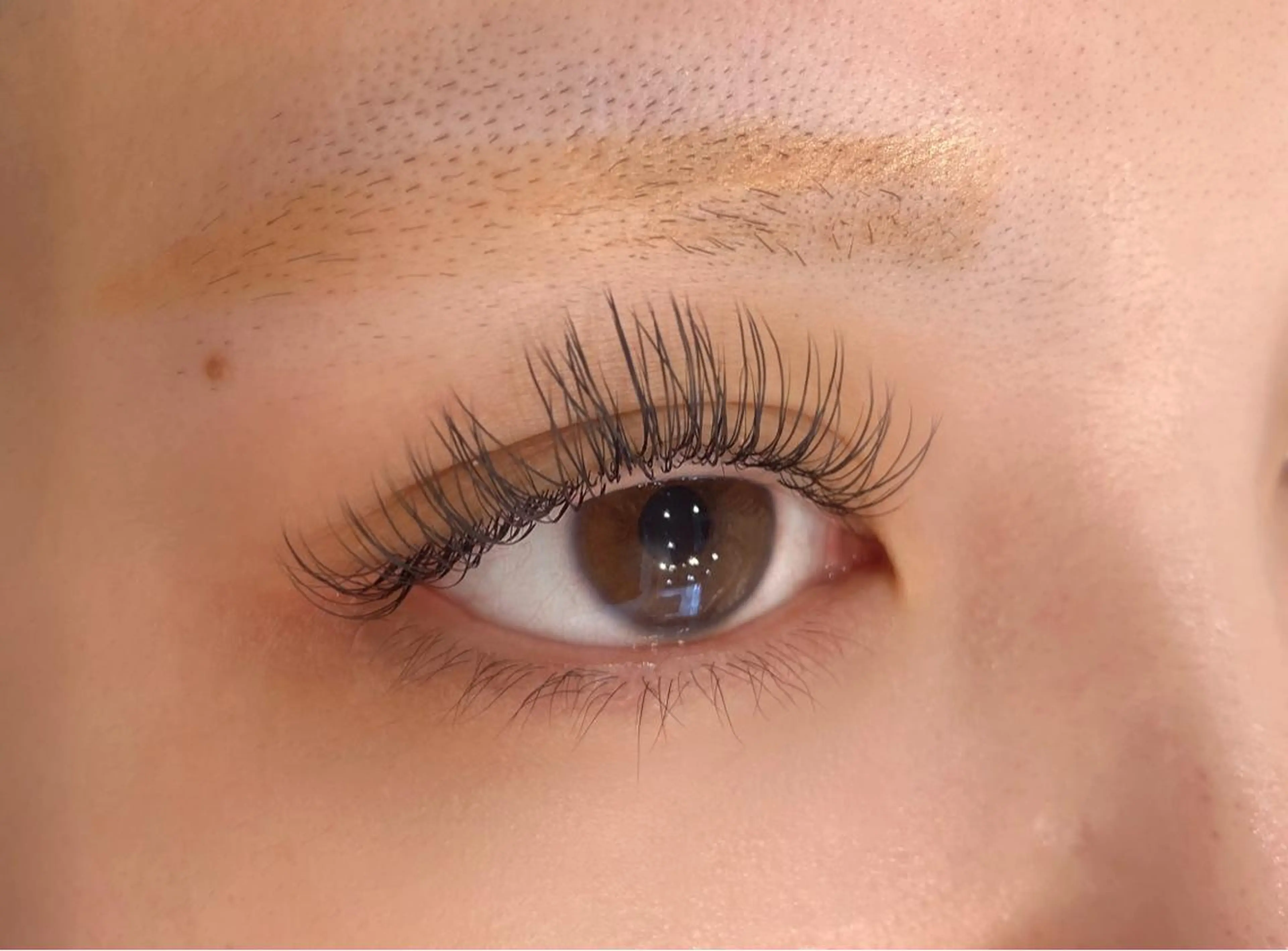 マツエク・マツパ Dカール マツエク EILIS& EYEのマツエク・マツパデザイン