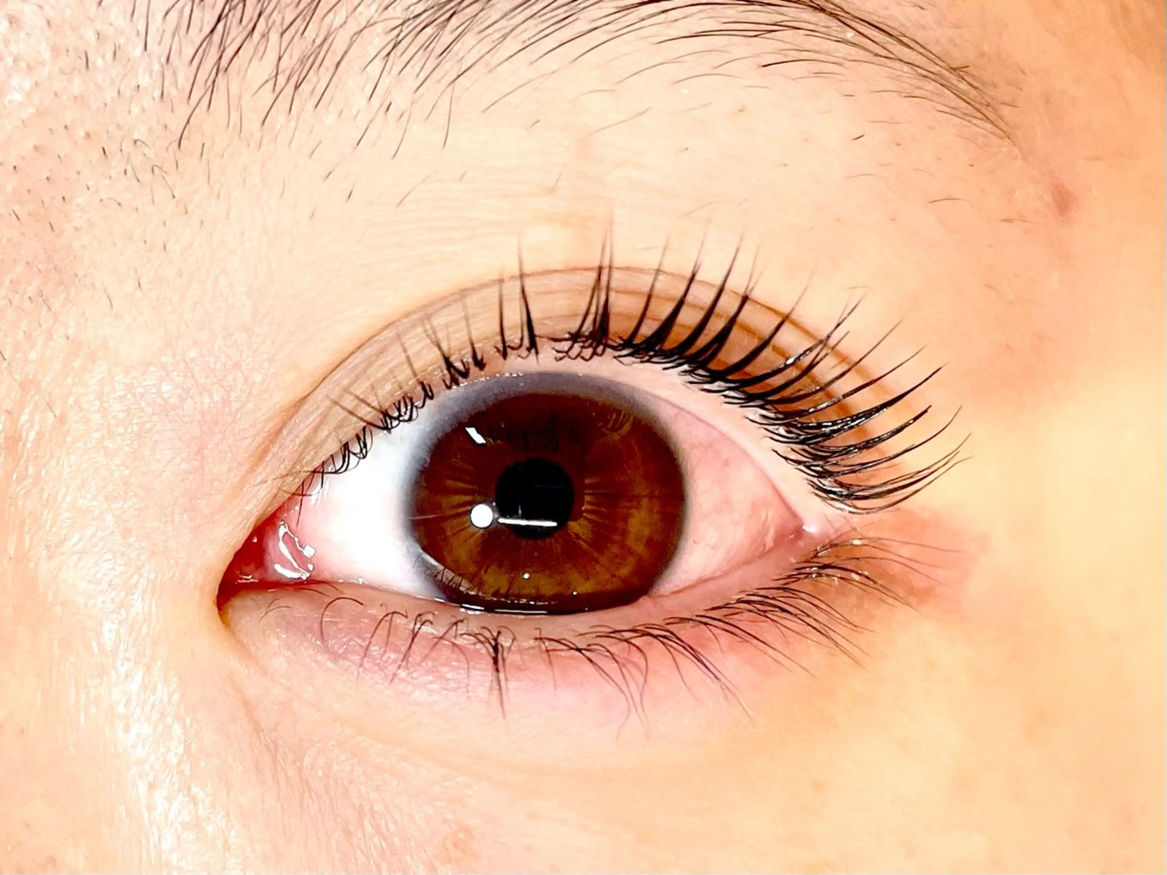 マツエク・マツパ マツパ yamamoto 🥀のマツエク・マツパデザイン