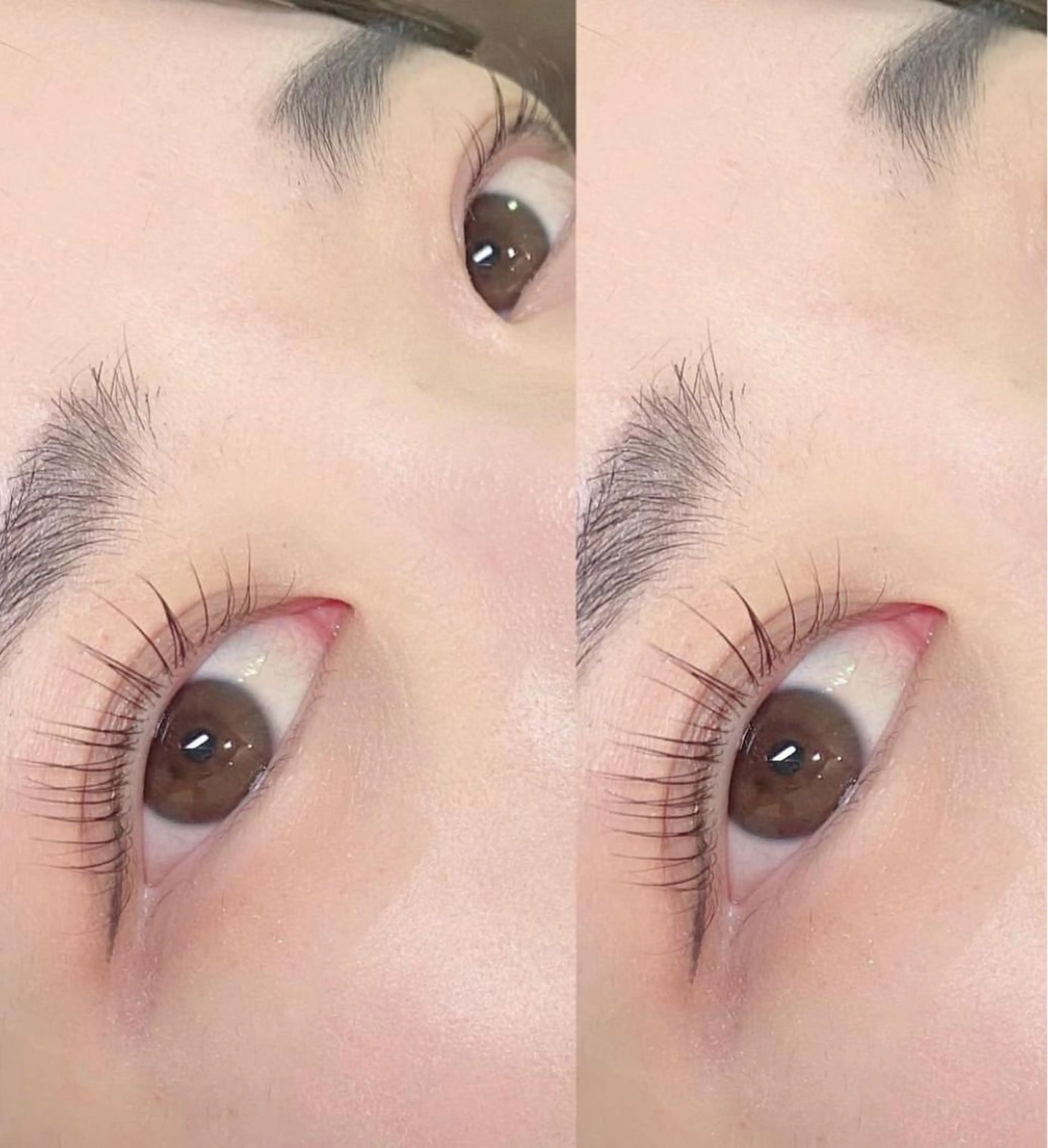 🎀平日限定🎀アイブロウWax脱毛×パリジェンヌラッシュリフト ご新規様¥7000再来¥7500⚠️土日祝+¥500の写真