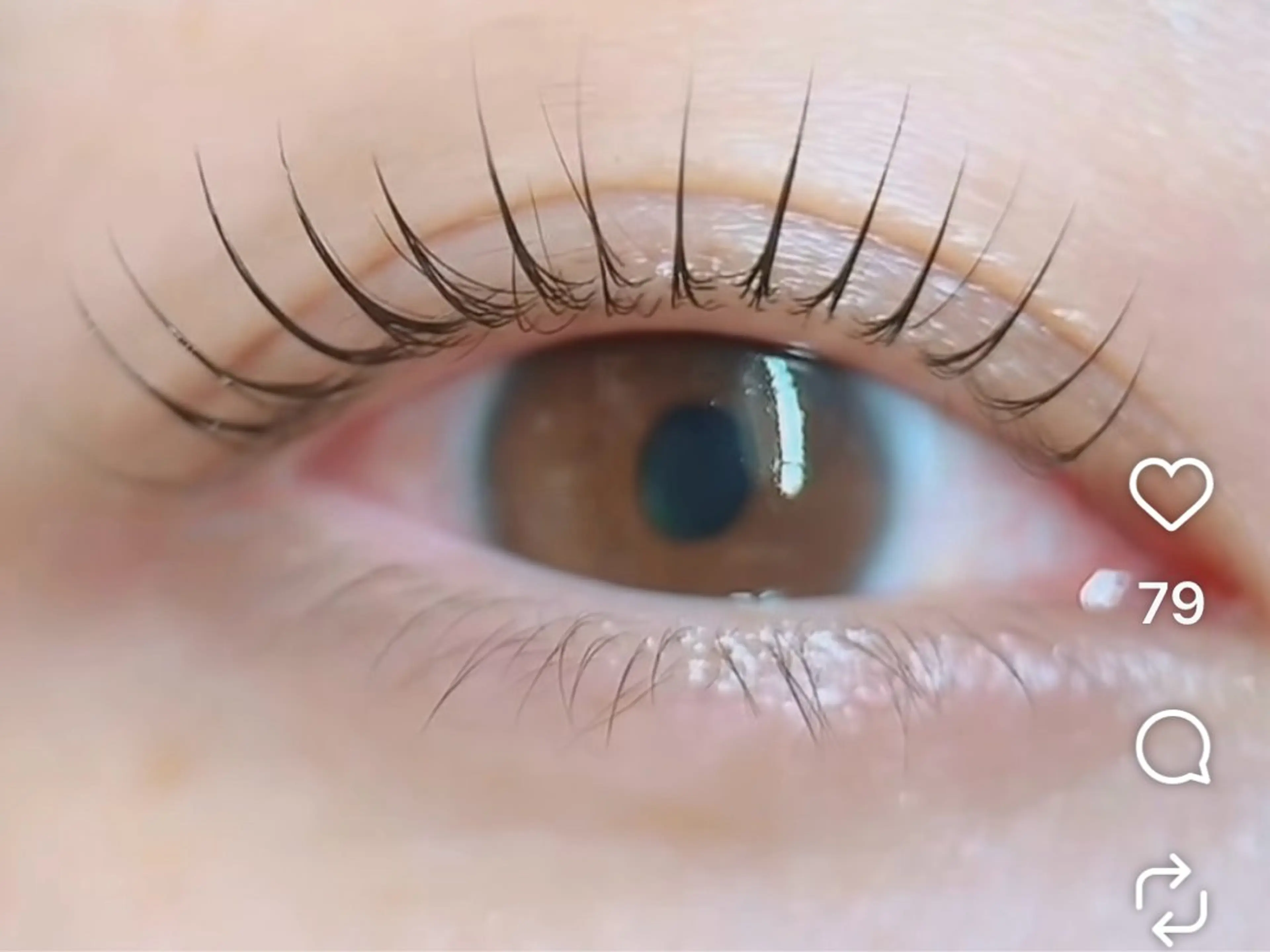 マツエク・マツパ マツエク Max eyelash池袋のマツエク・マツパデザイン