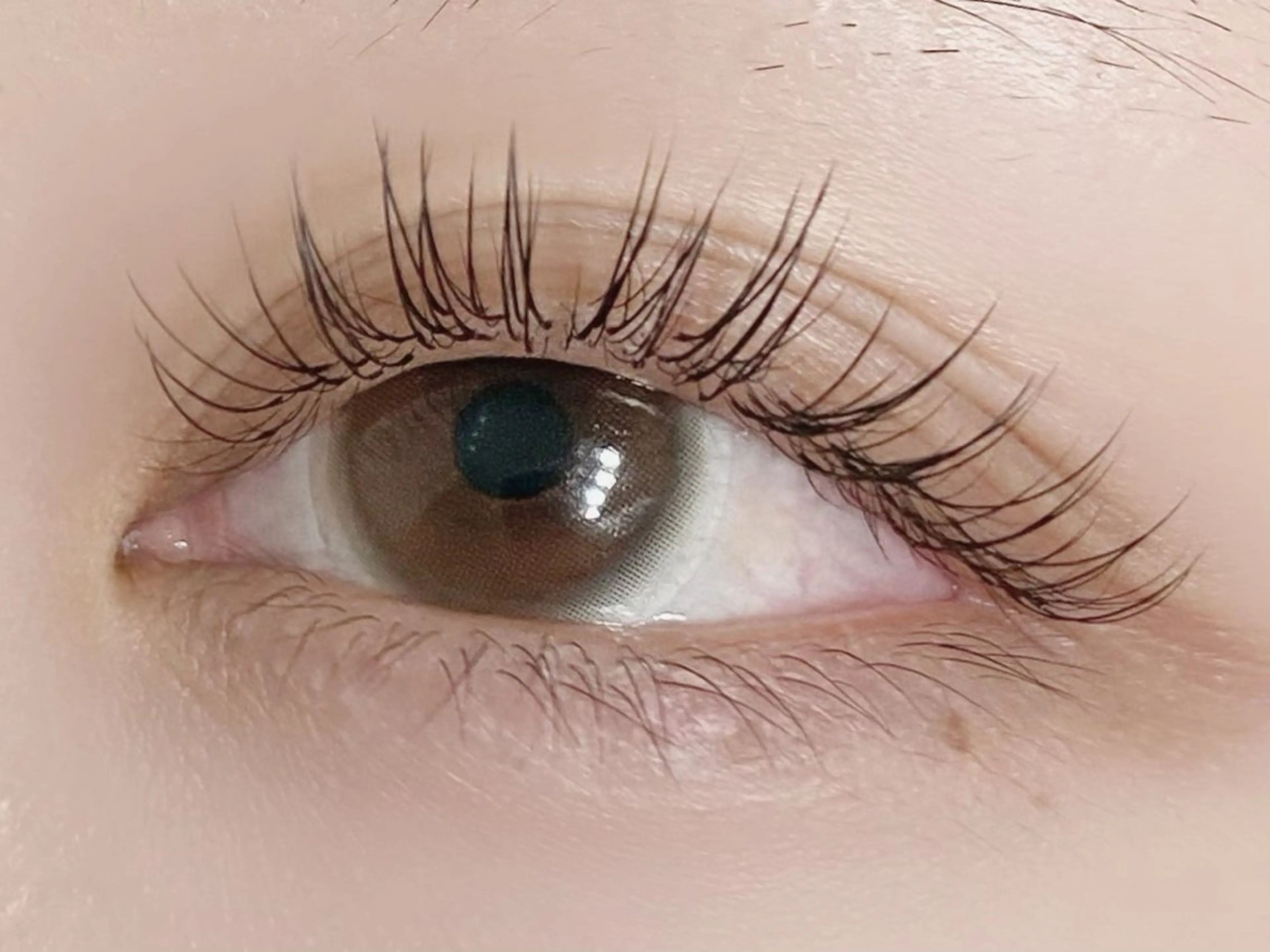 【アップワード】💎自まつげから上げるマツエク💎フラットラッシュ140本✨オフ無料 【初回〜3回目】の写真