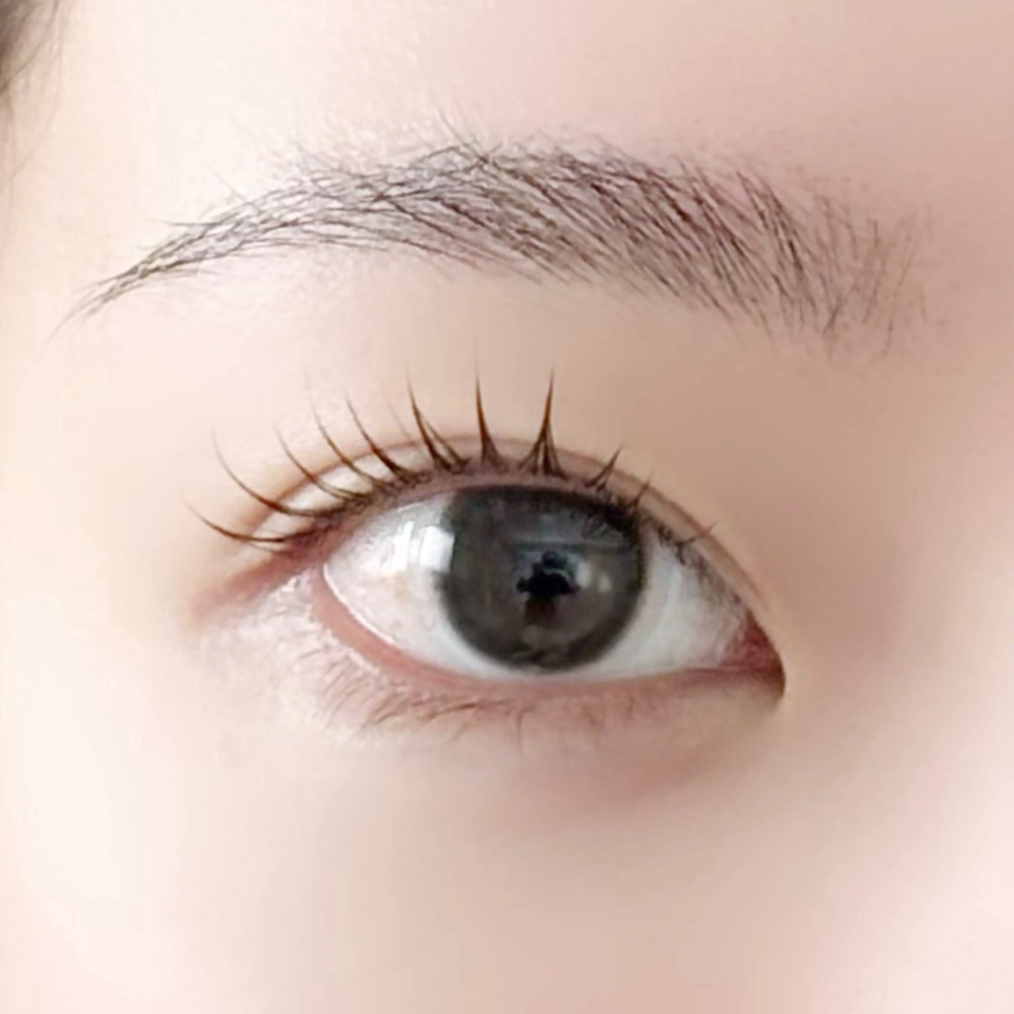 【再来】ラッシュリフト🌙アイシャンプー.トリートメント付き🫧の写真